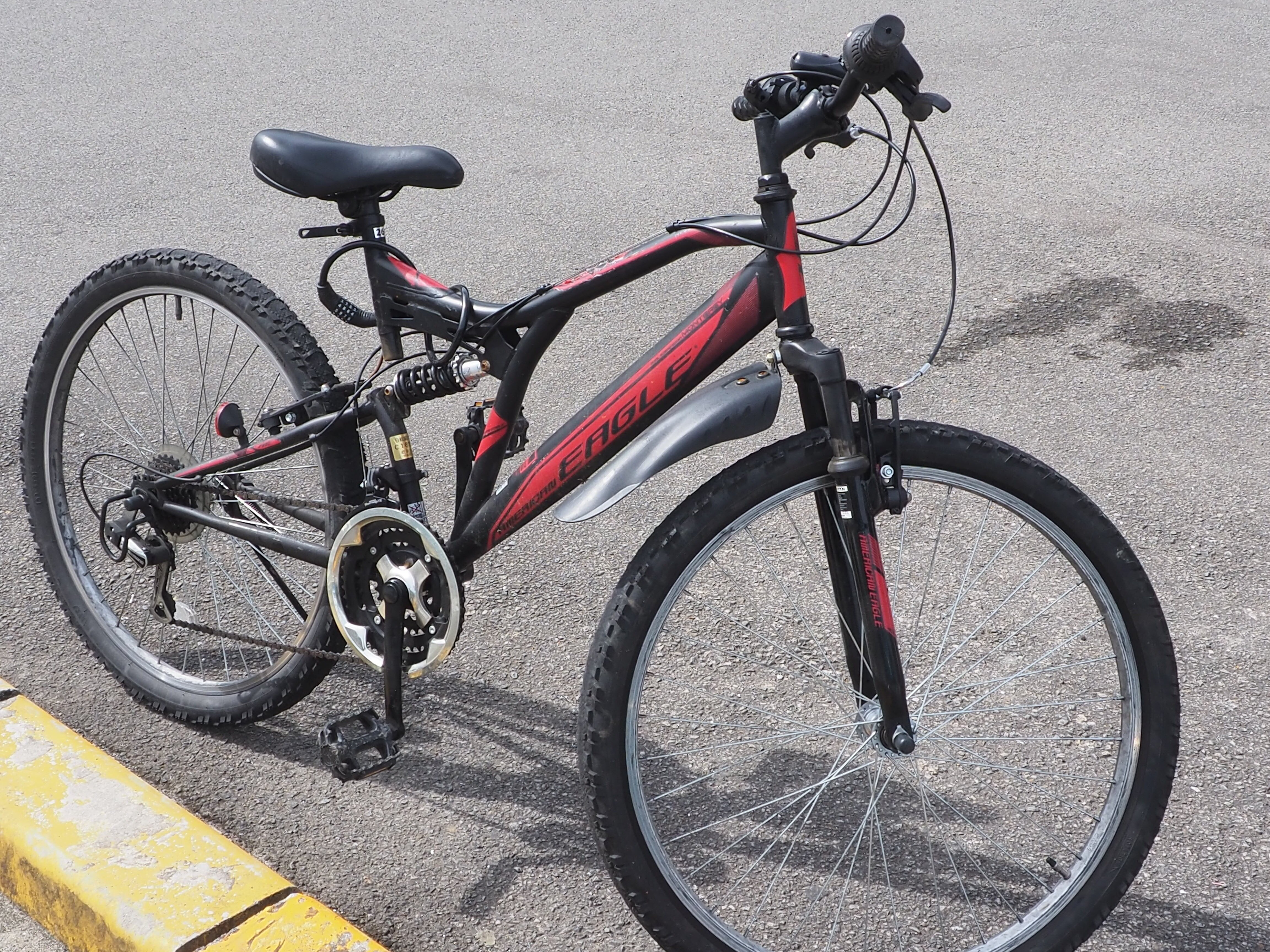 犬自転車で走れ！ 時短散歩の決め手｜中山道雄