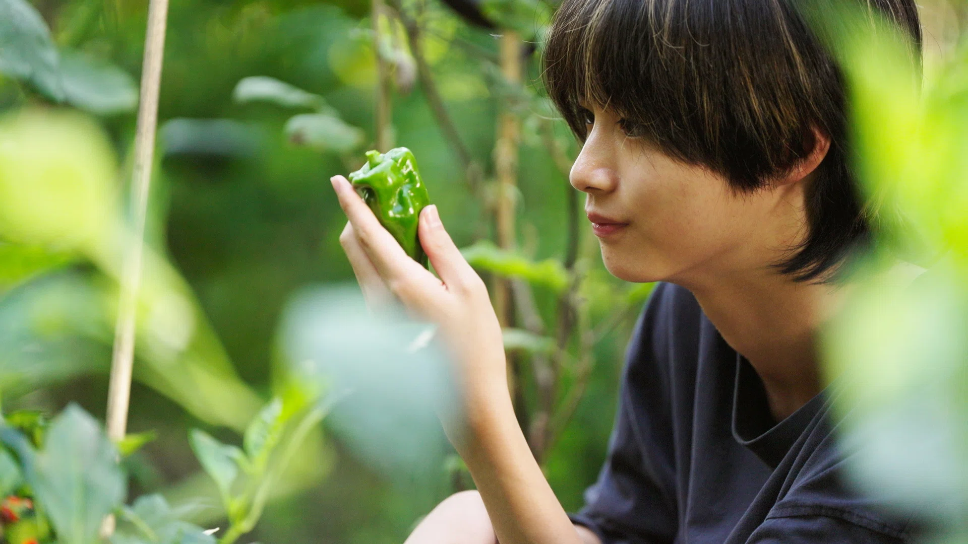 ふたたび、天狗の里へ。／監督 下田彦太 【天狗の台所 Season2