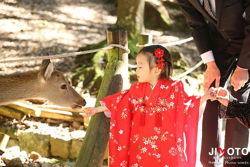 春日大社の七五三出張撮影