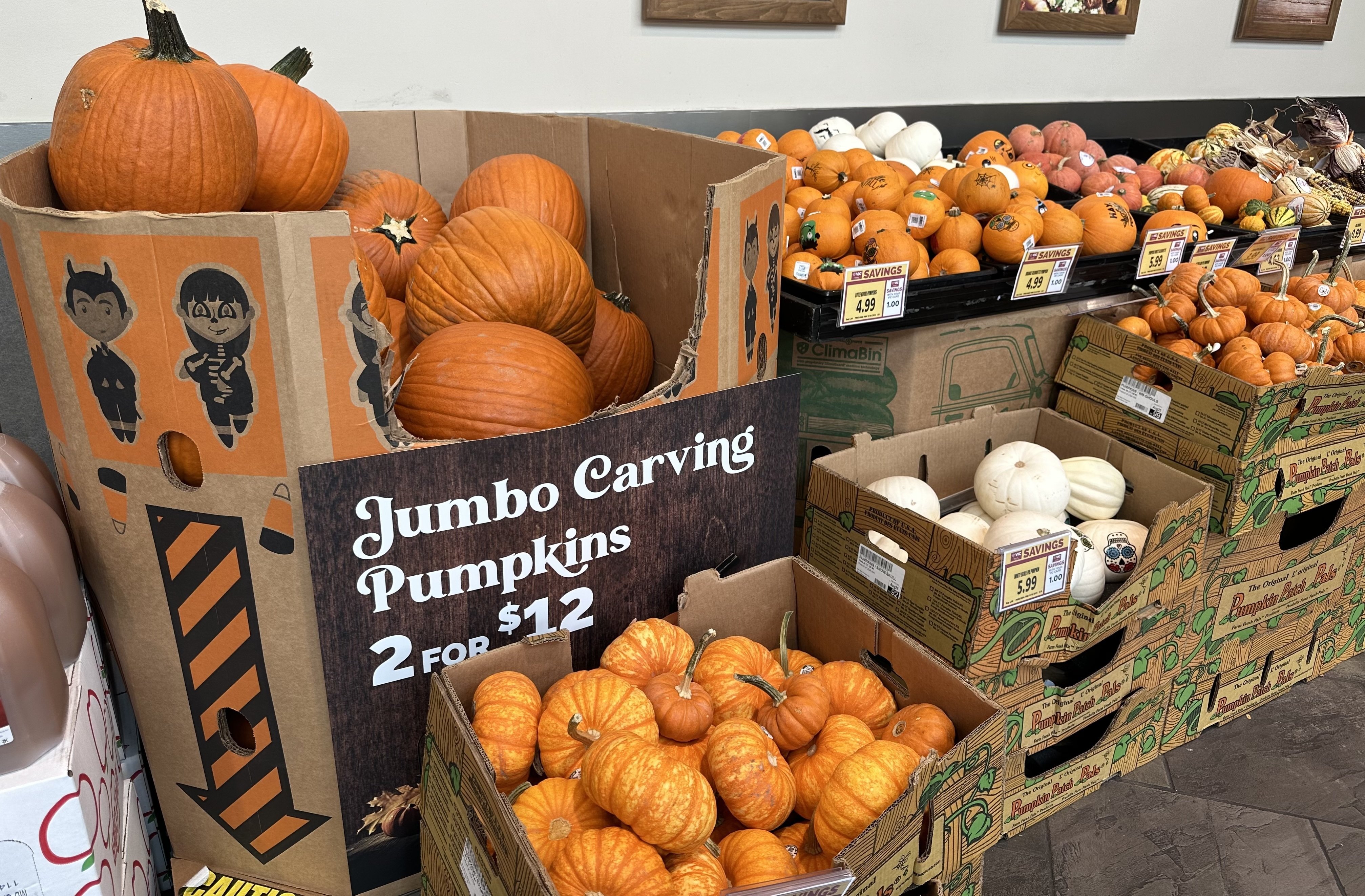 ハロウィンかぼちゃで秋の気分を堪能していたら、意外なところに敵が