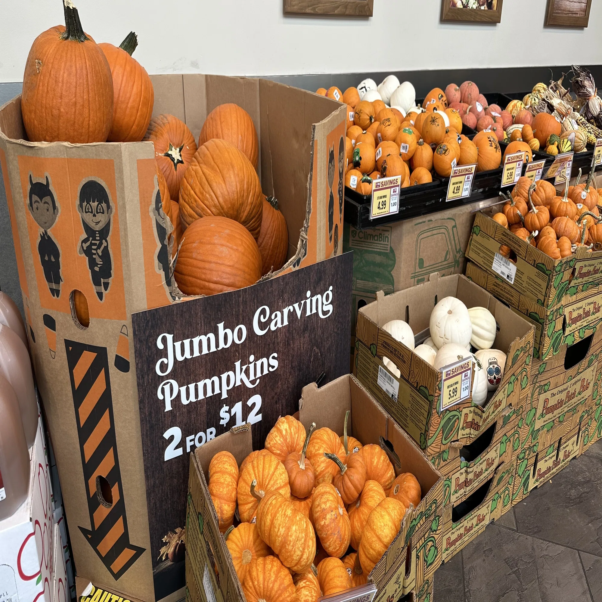ハロウィンかぼちゃで秋の気分を堪能していたら、意外なところに敵が 