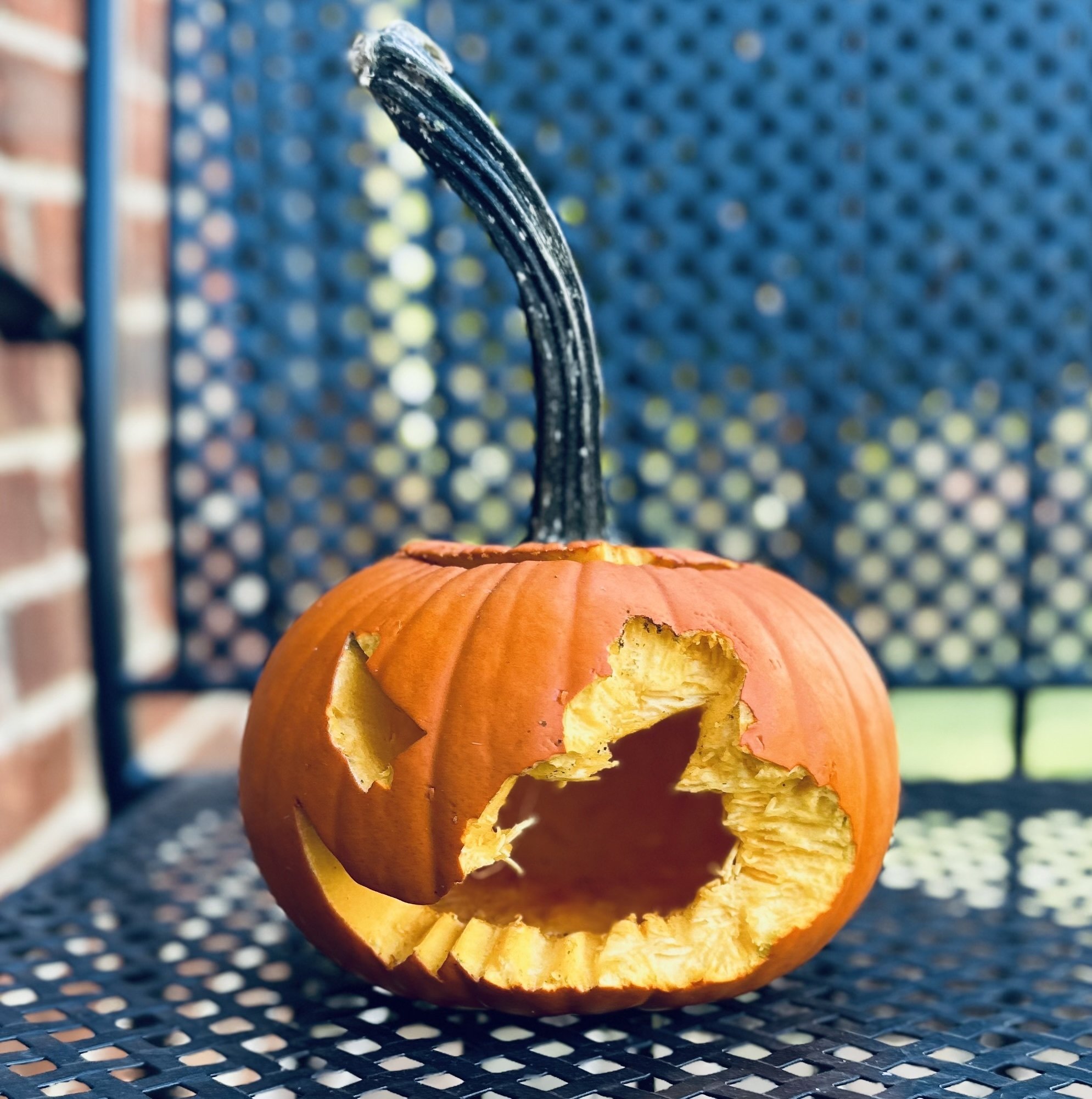 ハロウィンかぼちゃで秋の気分を堪能していたら、意外なところに敵が