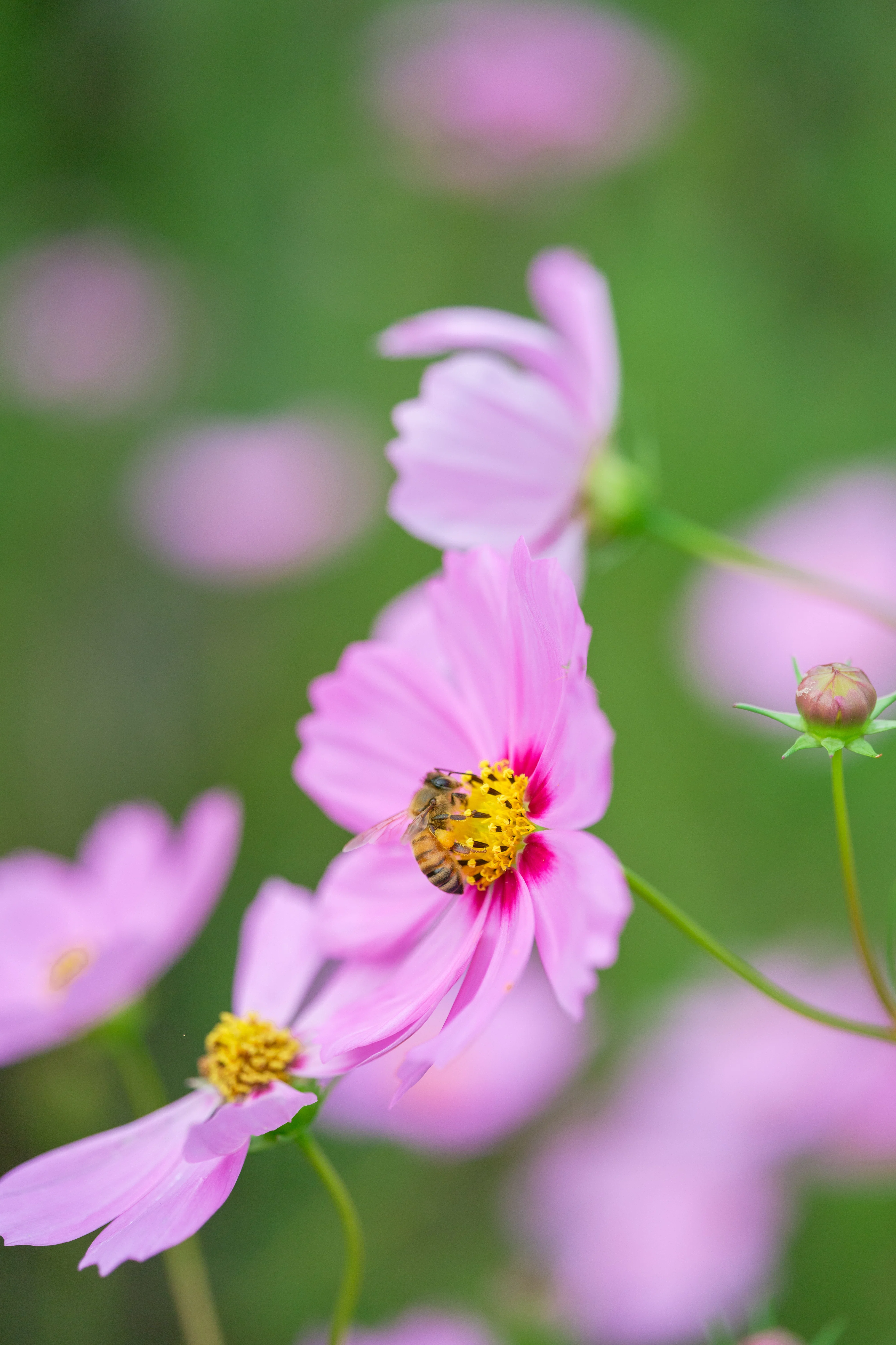 TAMRON 90mm F/2.8 Di III MACRO VXD Model F072のメリットと