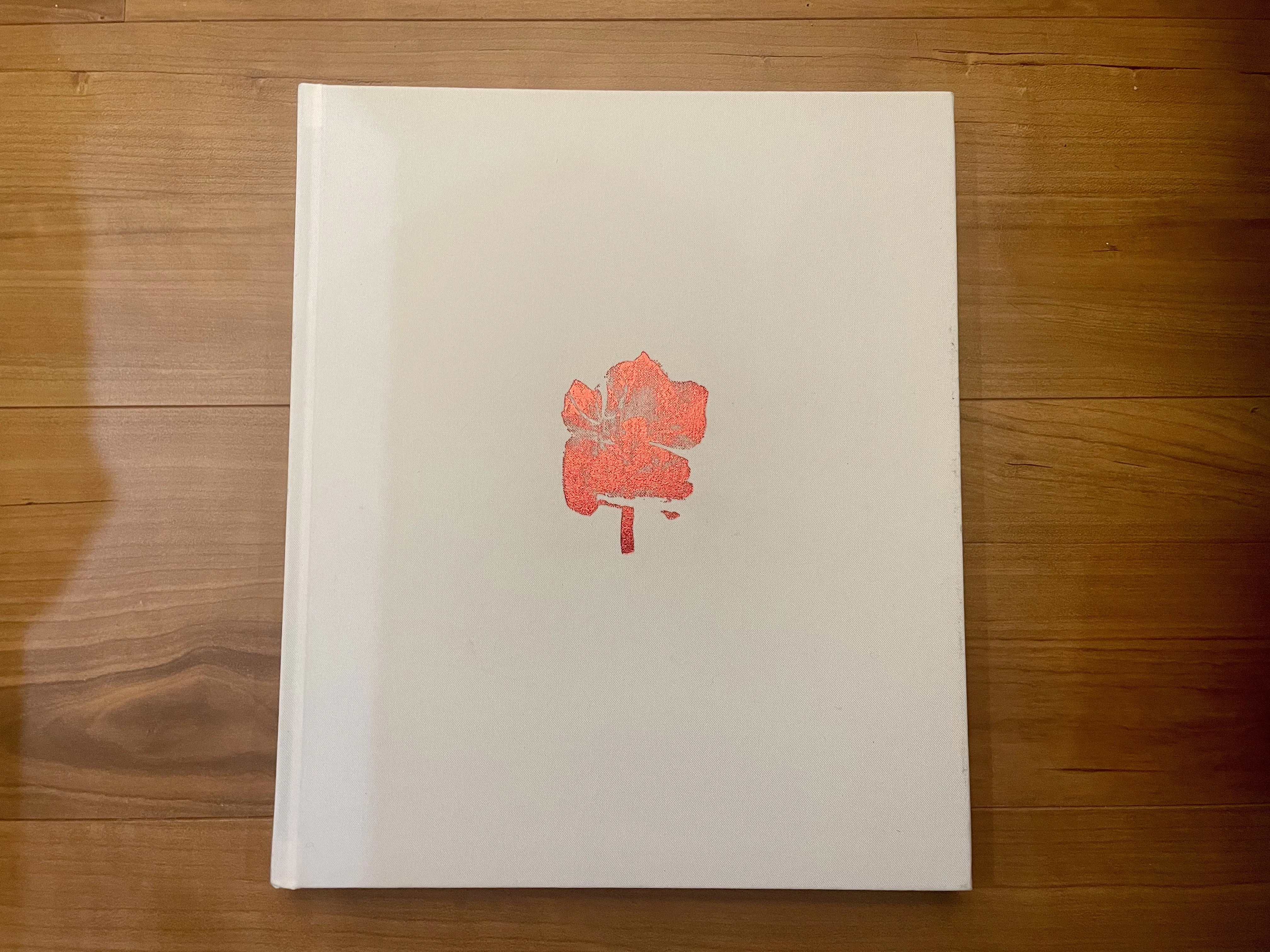 16 境界線はなくなる Swaying Flowers遠藤文香｜flotsambooks