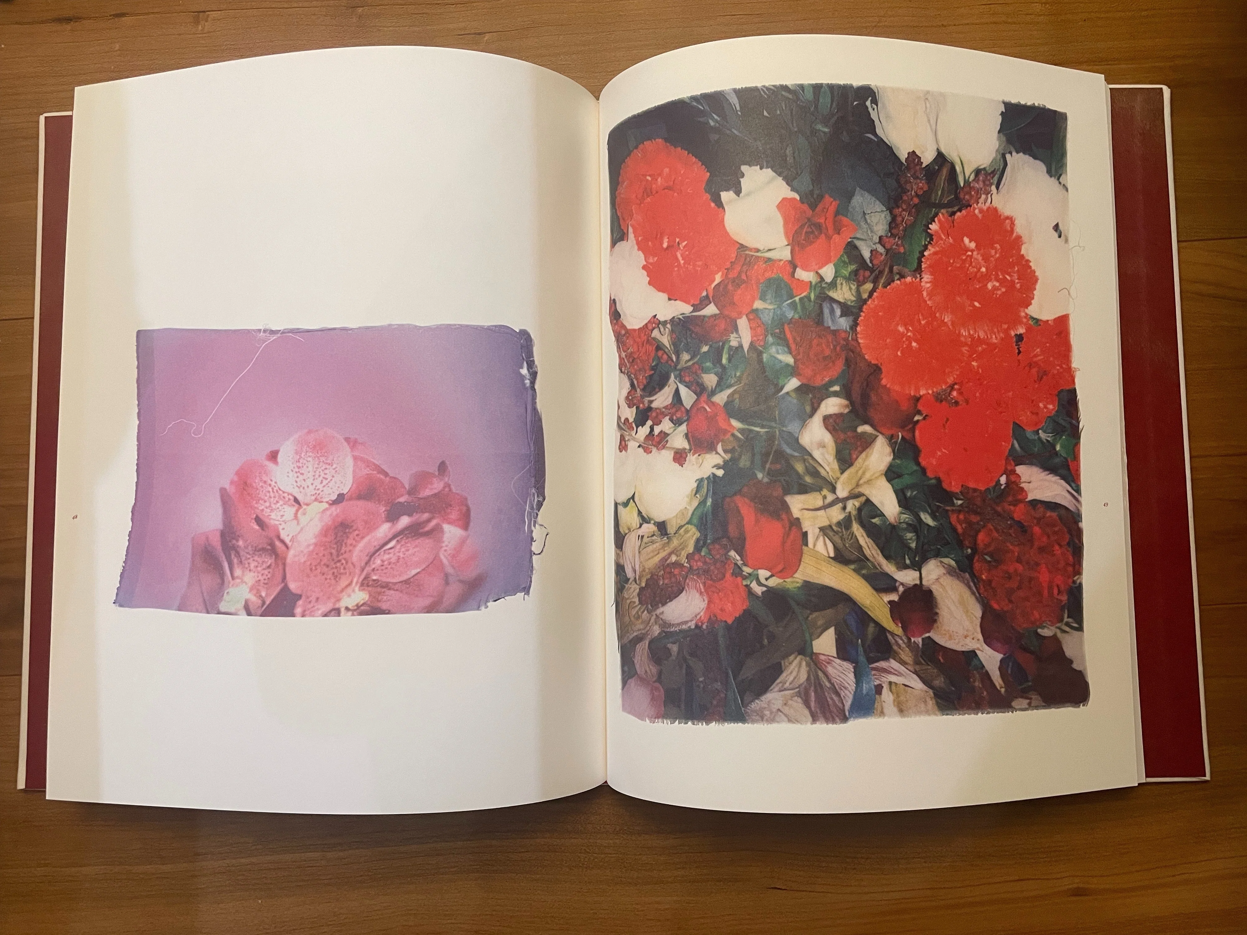 16 境界線はなくなる Swaying Flowers遠藤文香｜flotsambooks