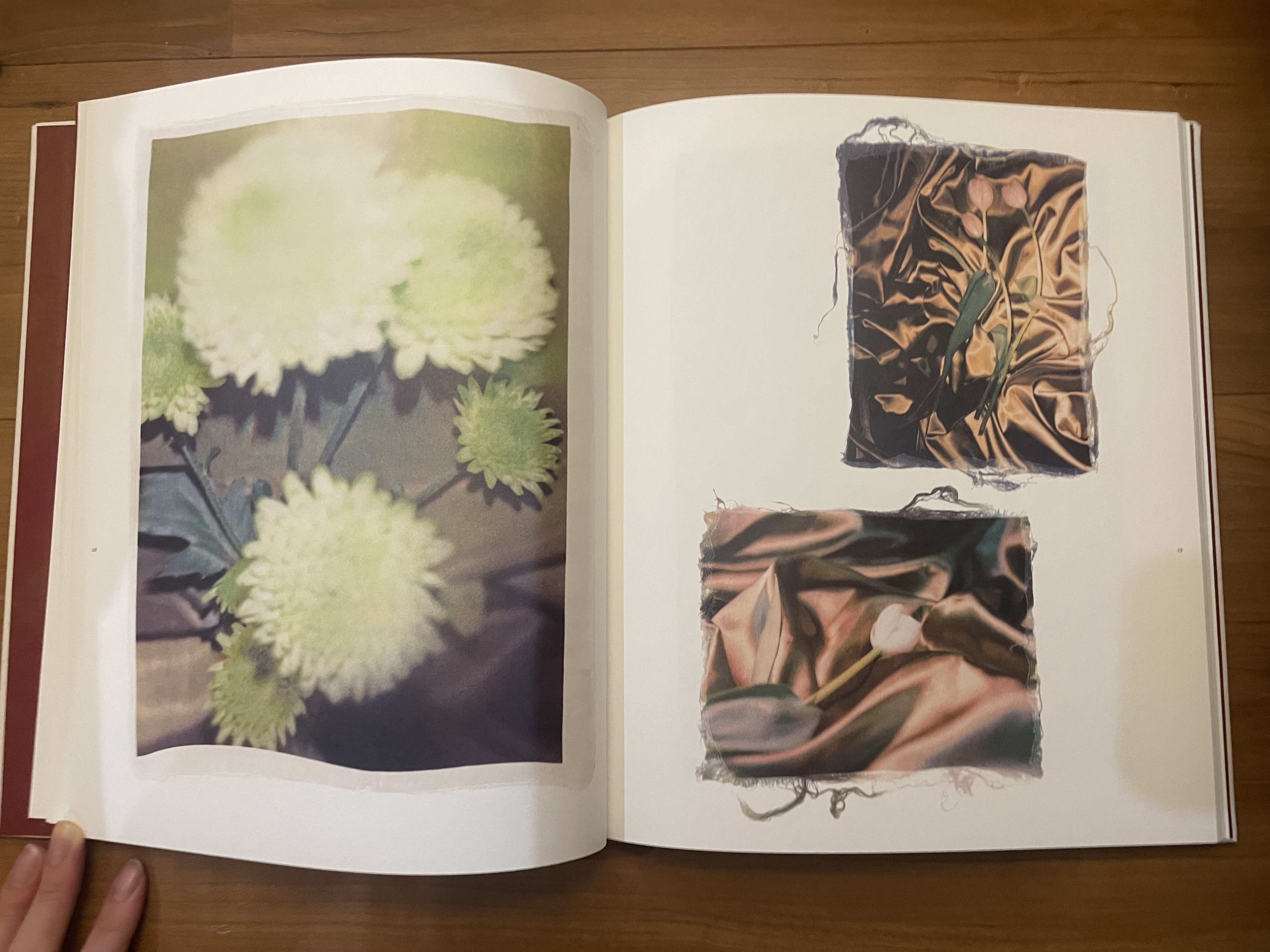 16 境界線はなくなる Swaying Flowers遠藤文香｜flotsambooks