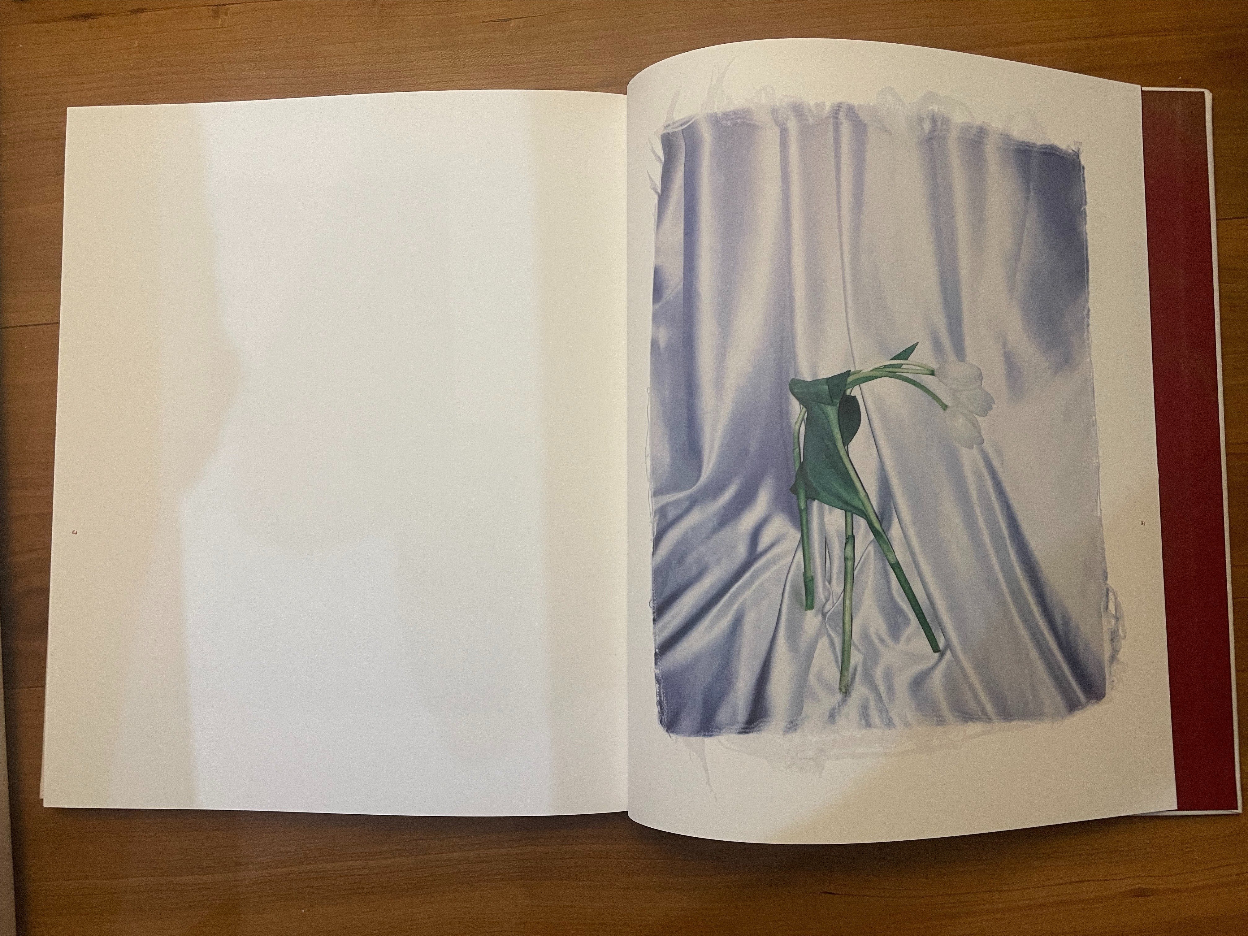 16 境界線はなくなる Swaying Flowers遠藤文香｜flotsambooks