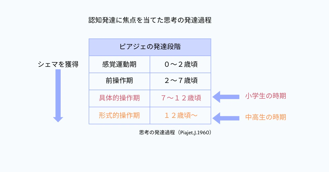 ピアジェは教員採用試験で超頻出なので理解しながらキーワードを覚え
