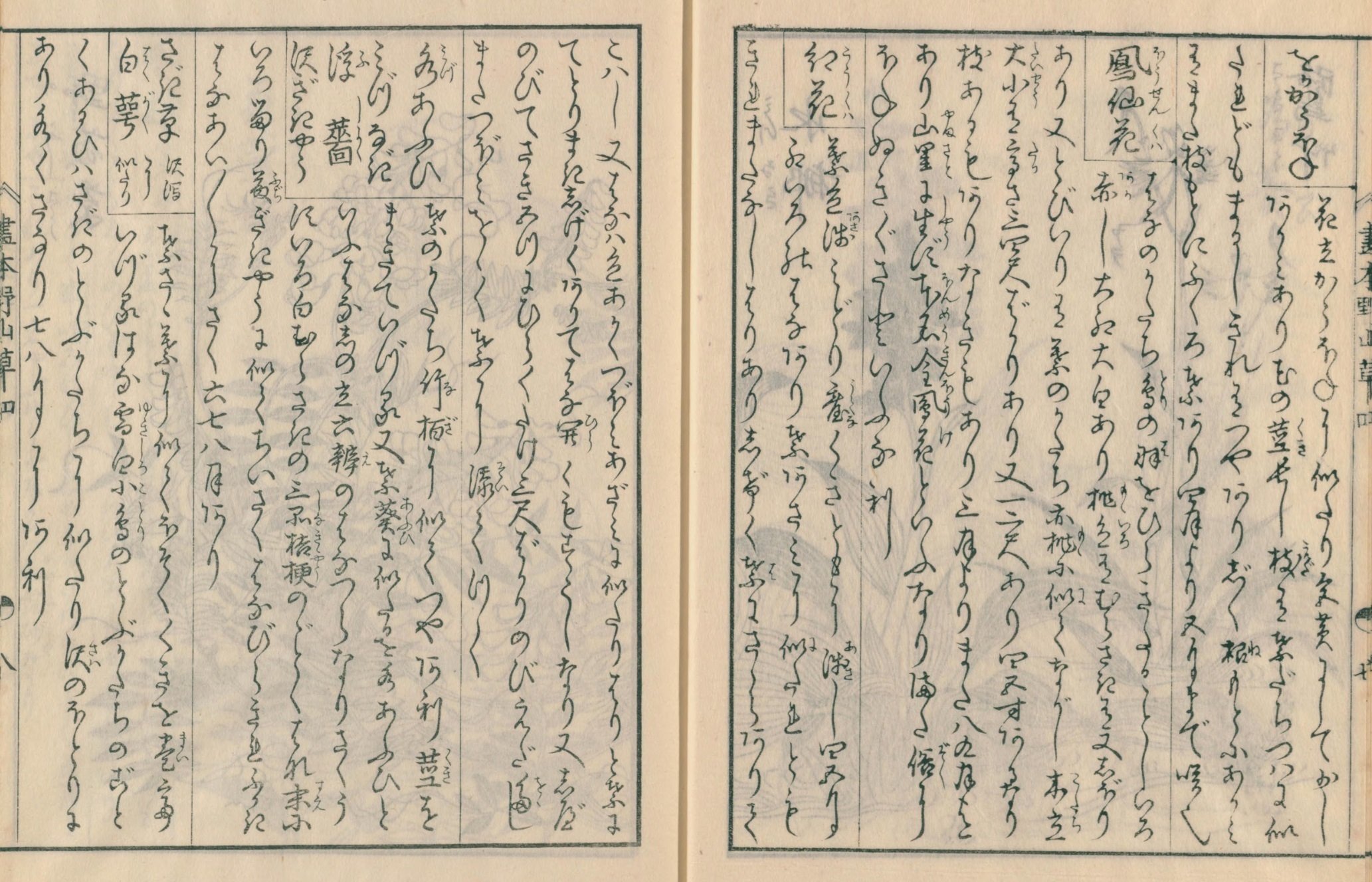絵本野山草】(22) 岡河骨/鳳仙花/紅花/水葵・水柳/鷺草 絵本野山草】(22) 岡河骨/鳳仙花/紅花/水葵・水柳/鷺草