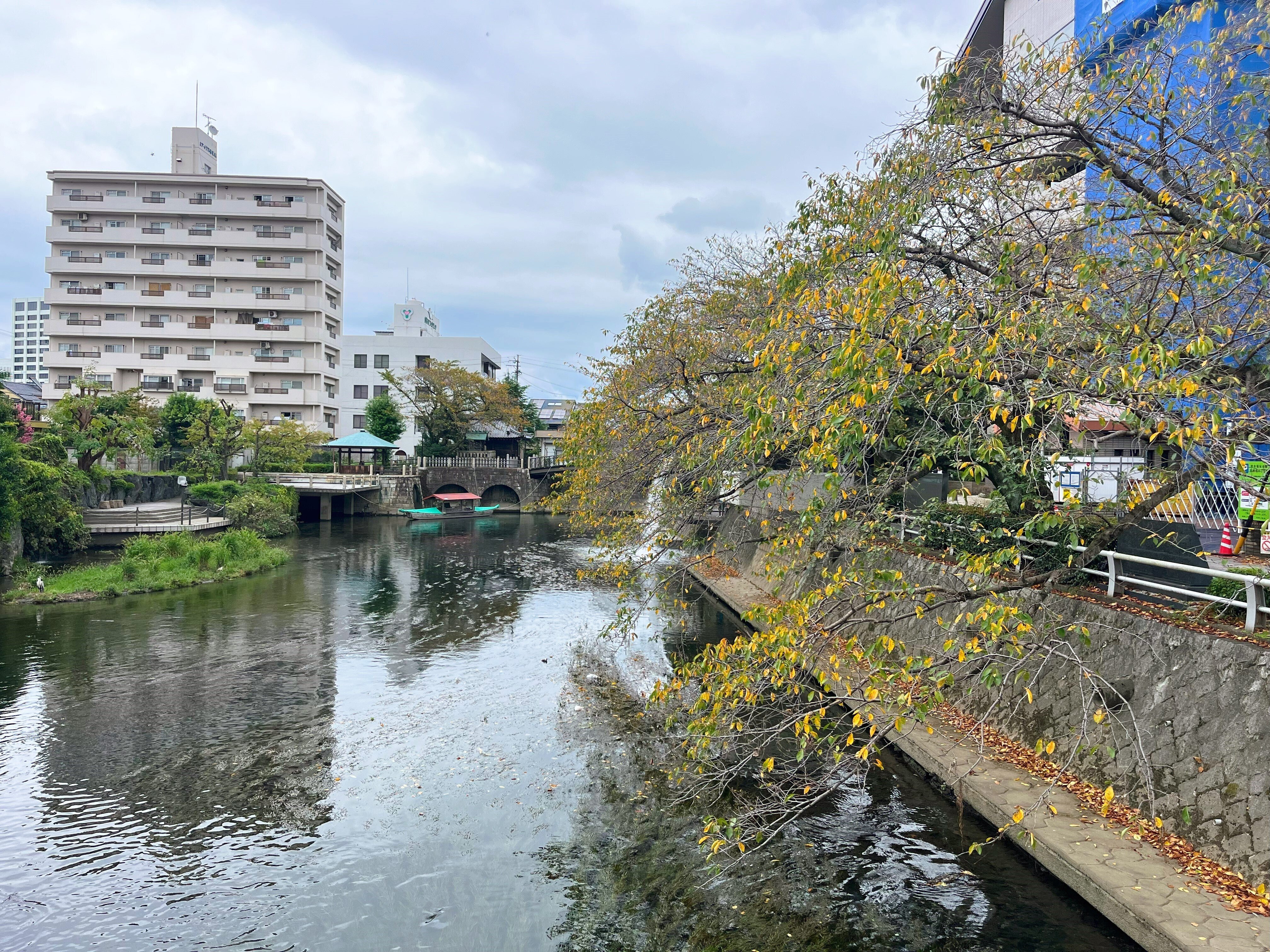 初めての大垣を下調べせず散策してみる｜かぼちゃかべ