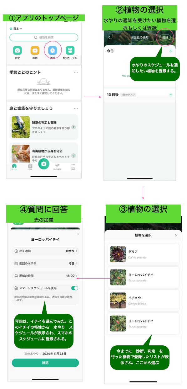 でじ茶屋オンライン_植物図鑑アプリ ②ピクチャーディス｜もみ
