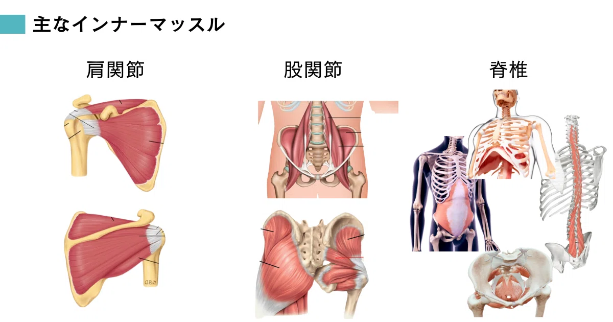 筋トレ禁止】鍛え上げても動ける身体になるわけではない！【鬼ににら