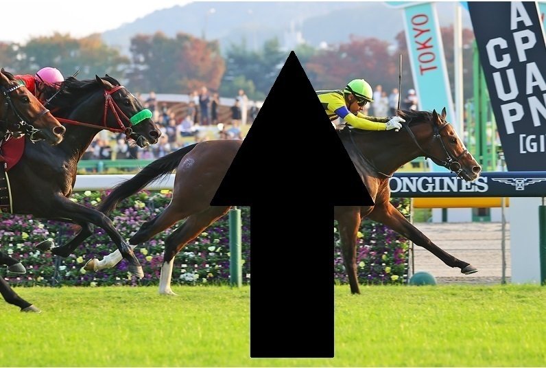 【✴︎激レア】サイン入りゴーグル14個セット　競馬 スキー スノボ サバゲー ゴーグル＆グローブ Mサイズ UV400 セット