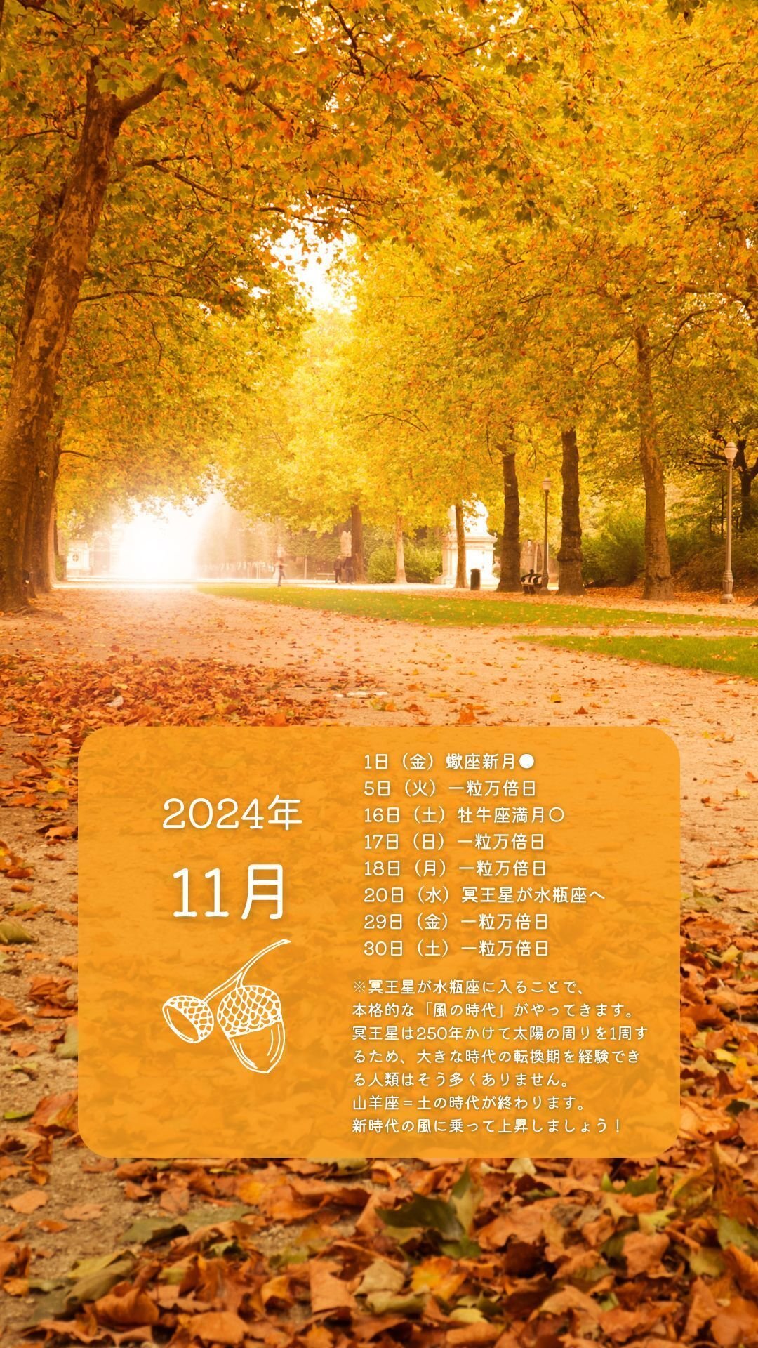 ついに「風の時代」到来！2024年11月の開運日ロック画面壁紙