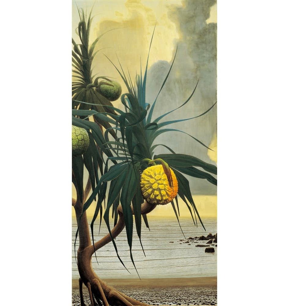 田中一村「桐花に尾長」　額装印刷物 第15景 なぜいま一村か@ Misakiのアート万華鏡｜Misaki