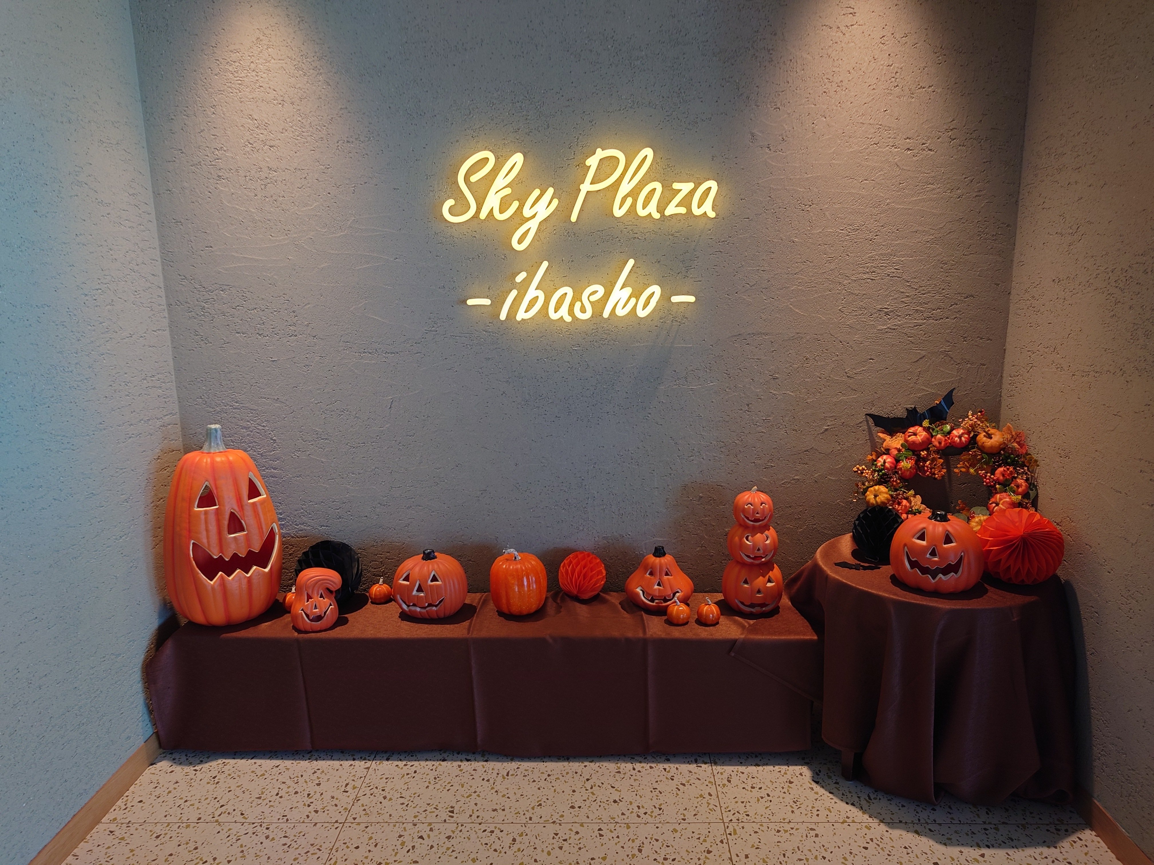 会話概念ラサ・アプソブラック元オーナメント ブラック DTX10D ファンティ族 アサフォフラッグ \u2013 金子駒商店