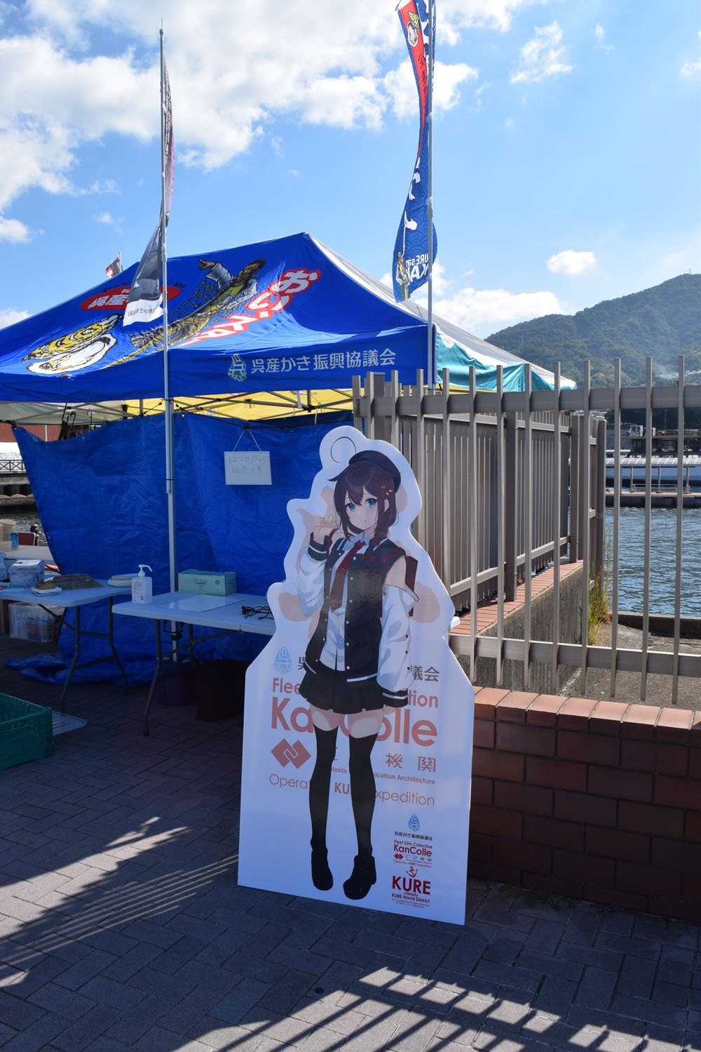 戦艦 金剛 A4 クリアファイル 艦隊これくしょん～艦これ～ kk148