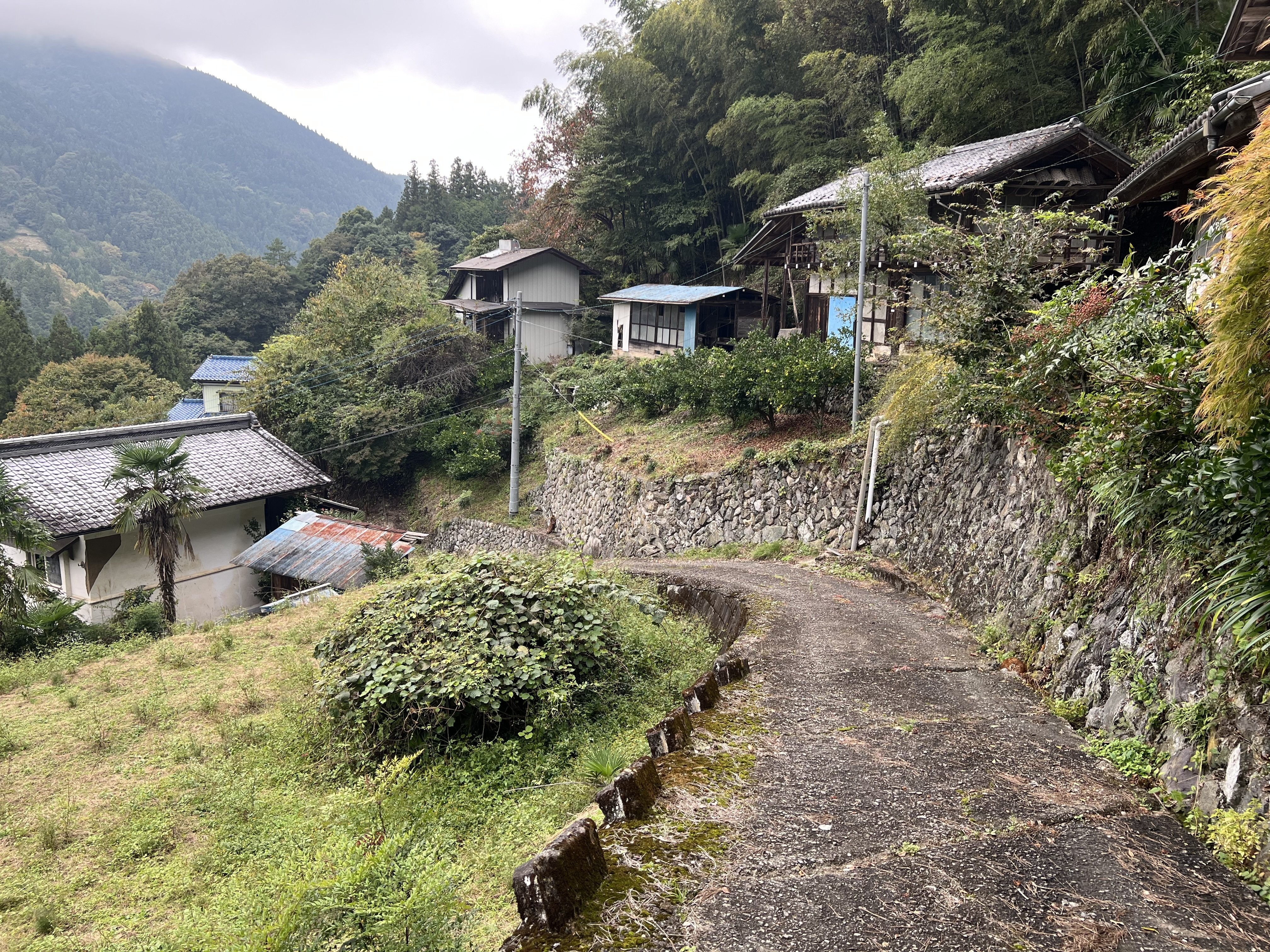 2024年に花のあとさき現地に4年振りに行く｜花のあとさき～ムツ