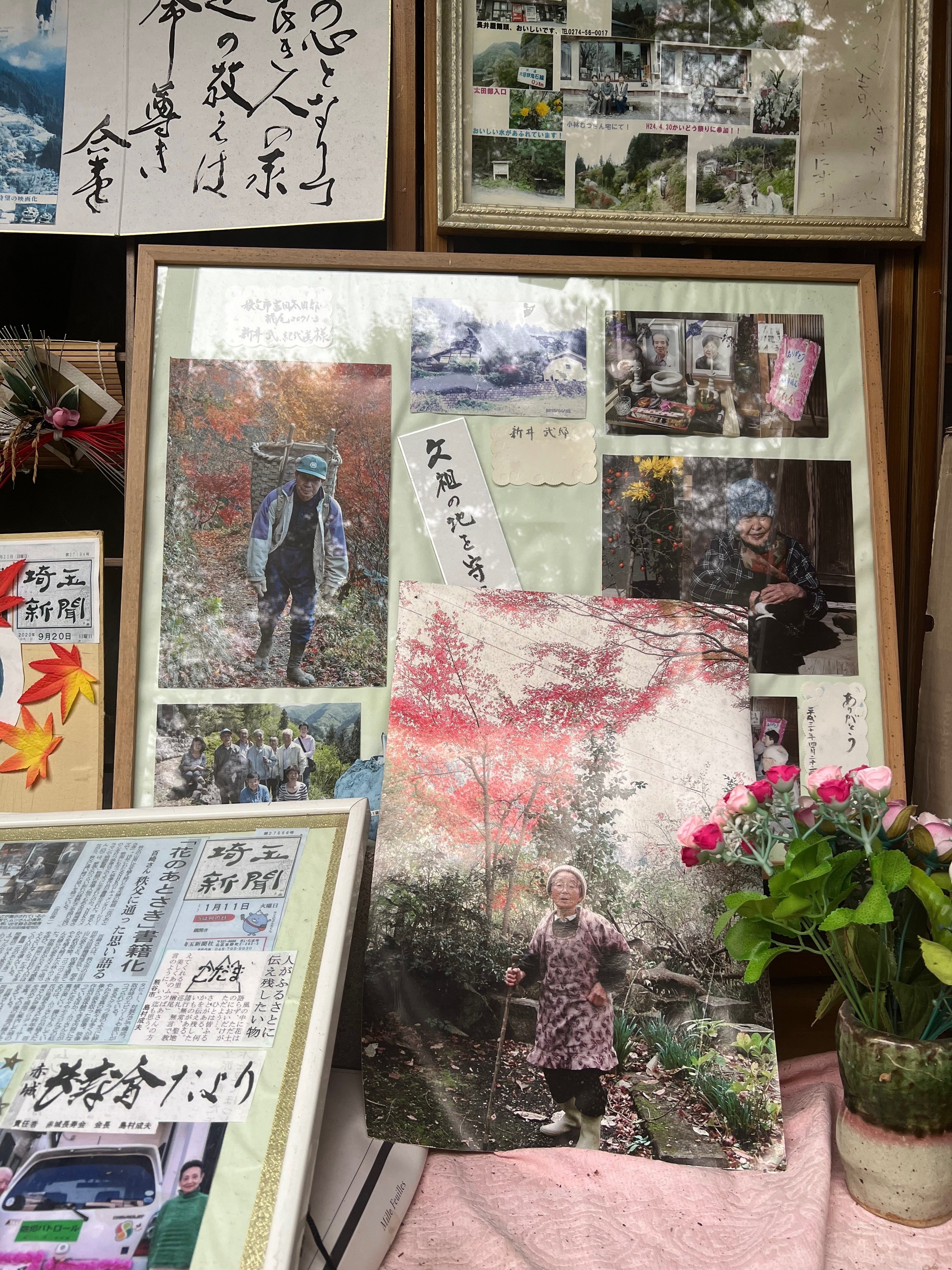 2024年に花のあとさき現地に4年振りに行く｜花のあとさき～ムツ