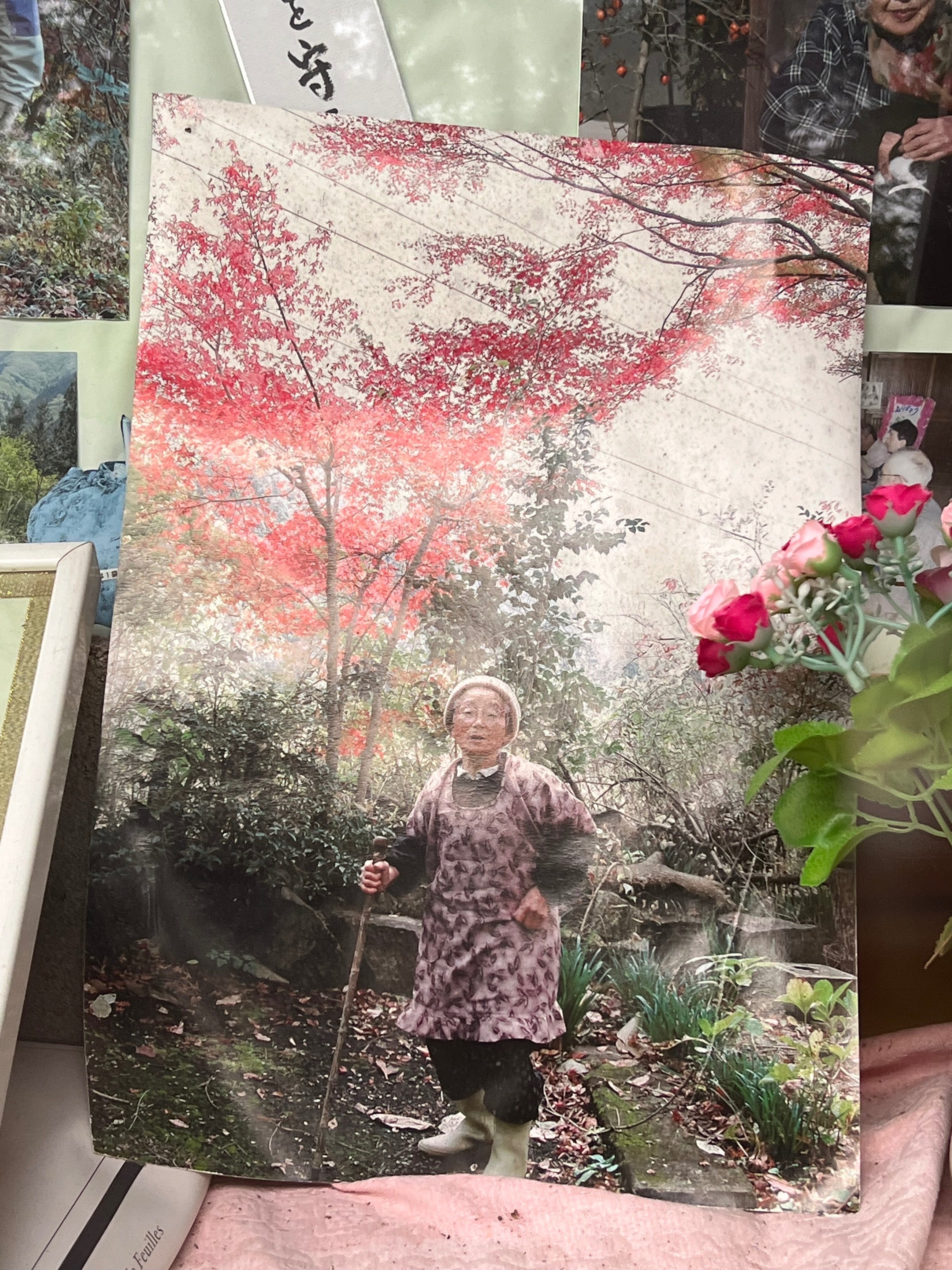 2024年に花のあとさき現地に4年振りに行く｜花のあとさき～ムツ