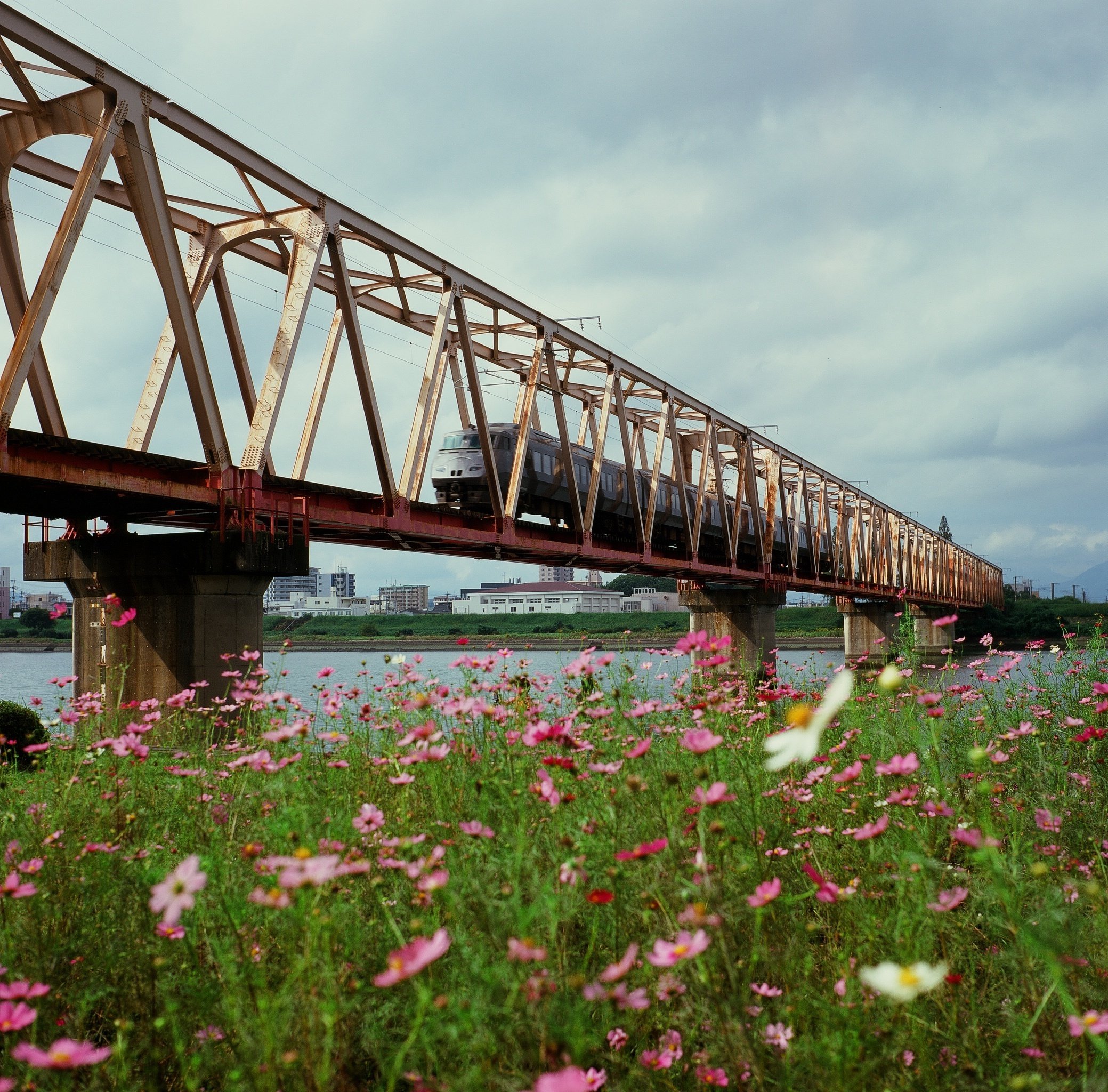 Velvia100】10年期限切れベルビア100は写るのか？｜RURI