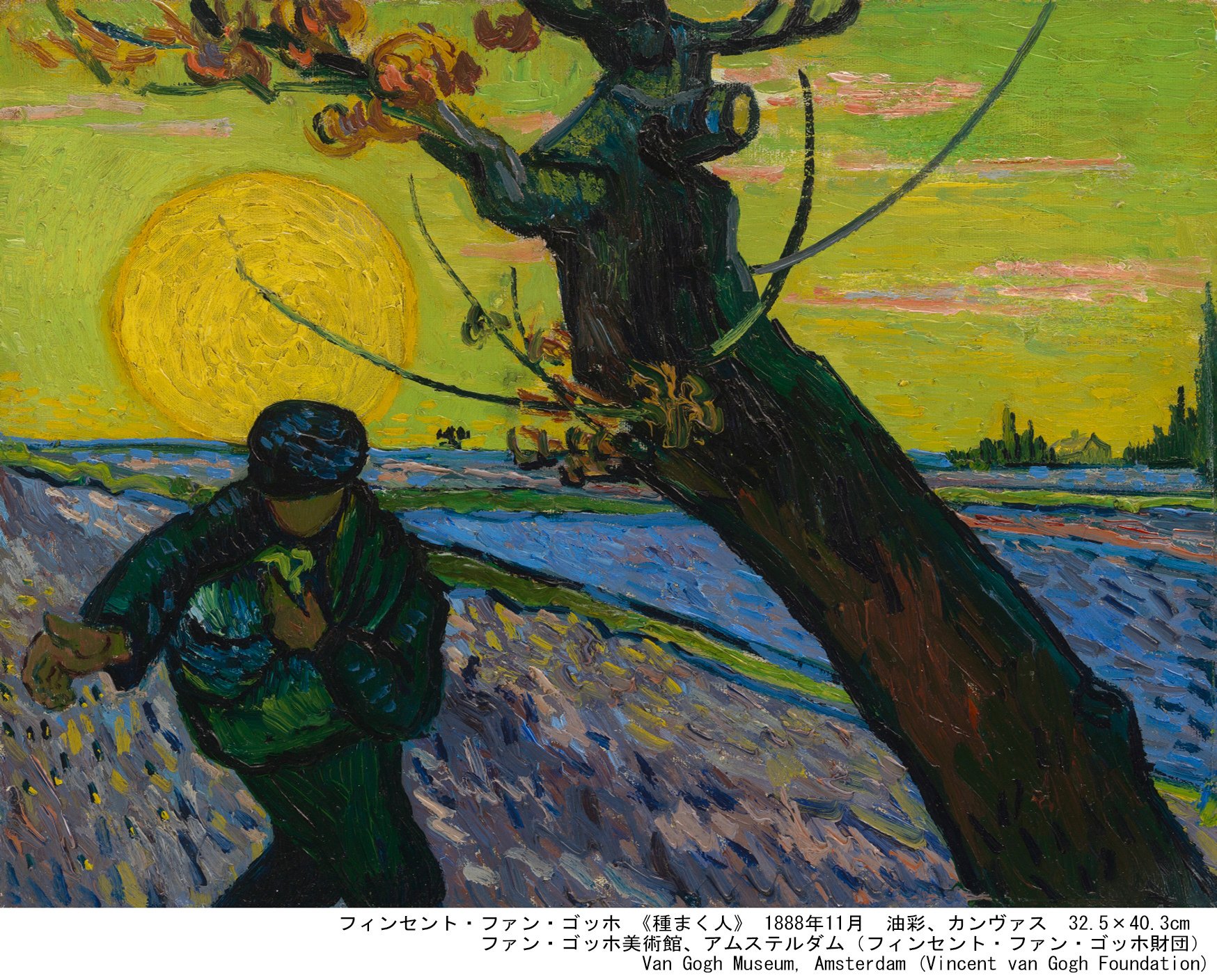 ゴッホ家のコレクション！｜桑原亘之介