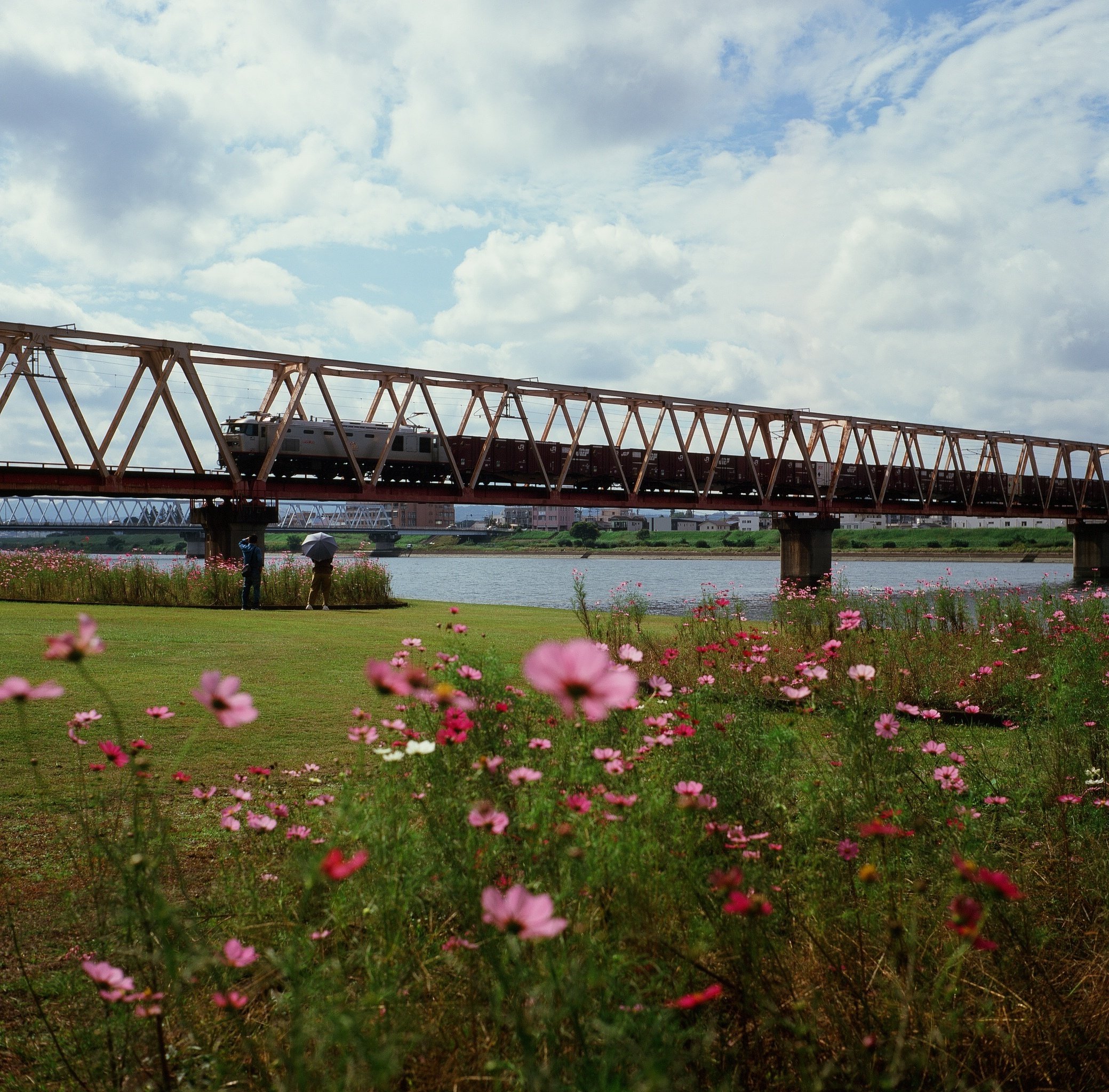 Velvia100】10年期限切れベルビア100は写るのか？｜RURI