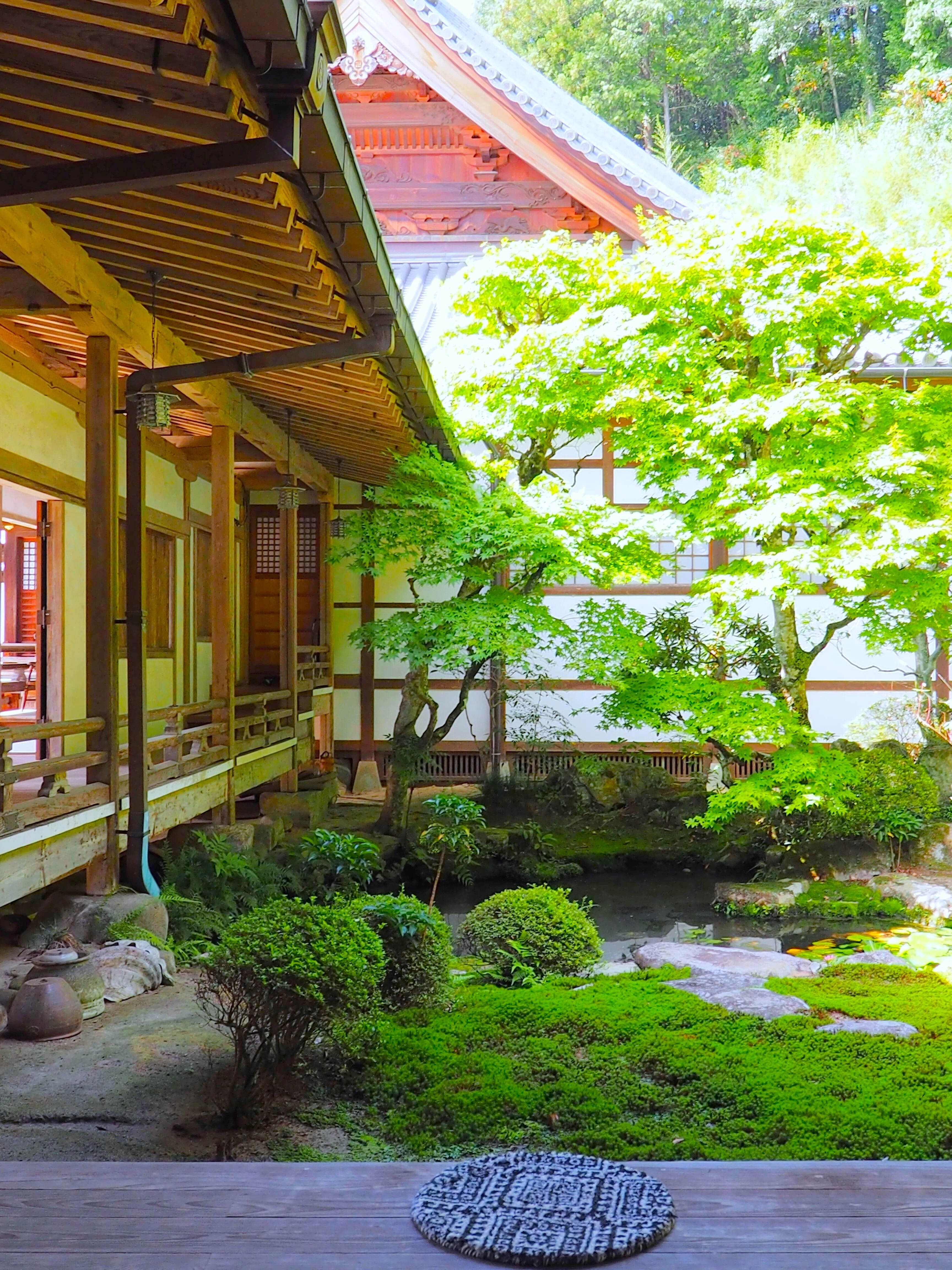 1 順教寺（東広島市河内町）-Temple｜古川いづみ