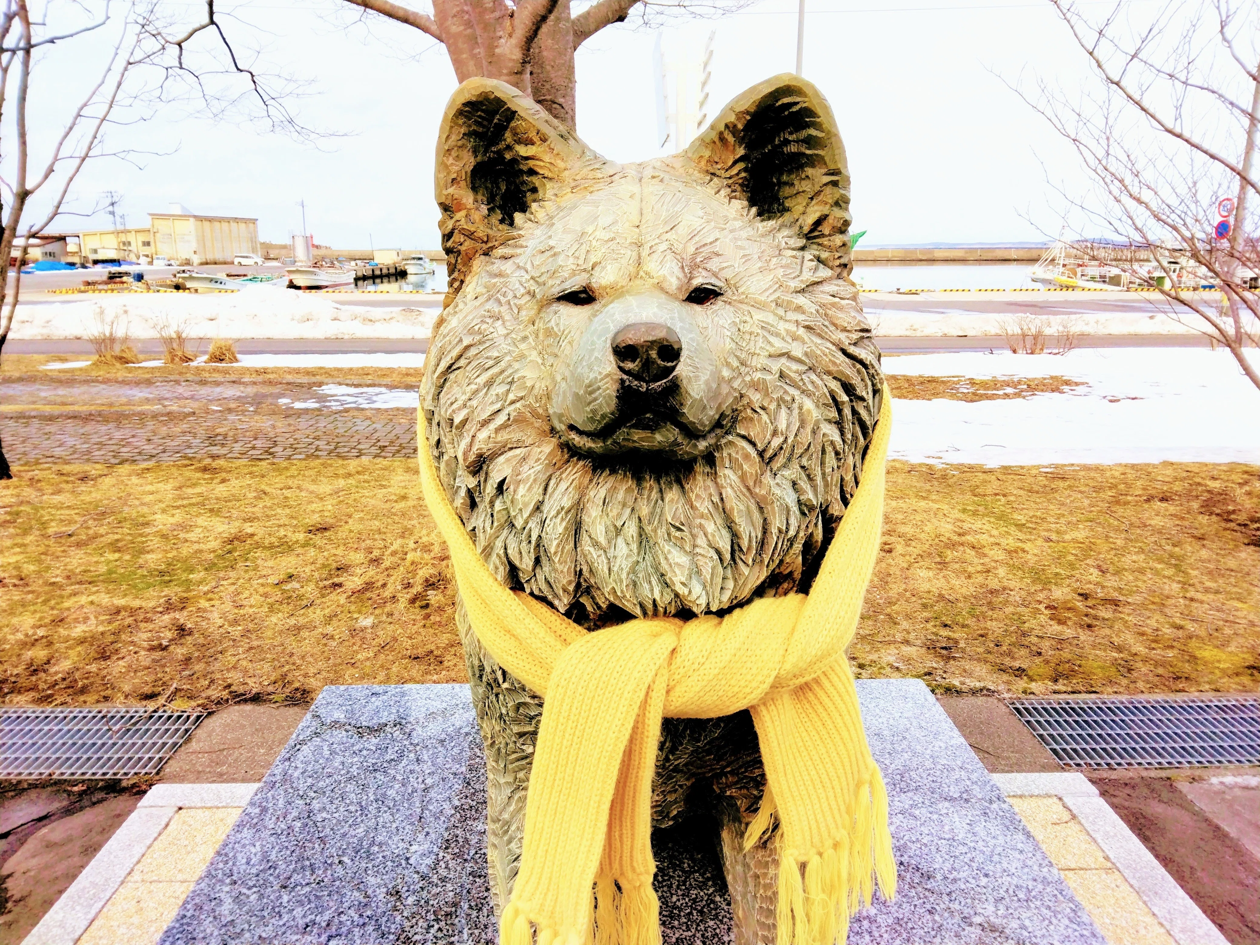 初雪ページ 初雪｜あおもり留学推進コーディネーター やまや