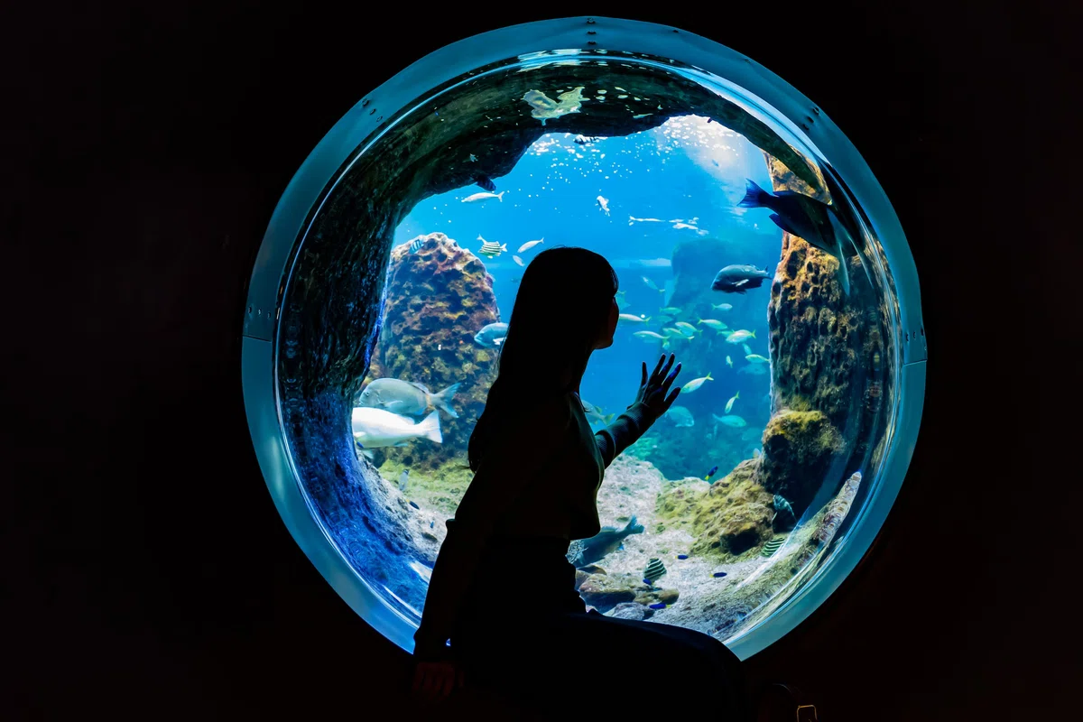 新江ノ島水族館 フォトスポット
