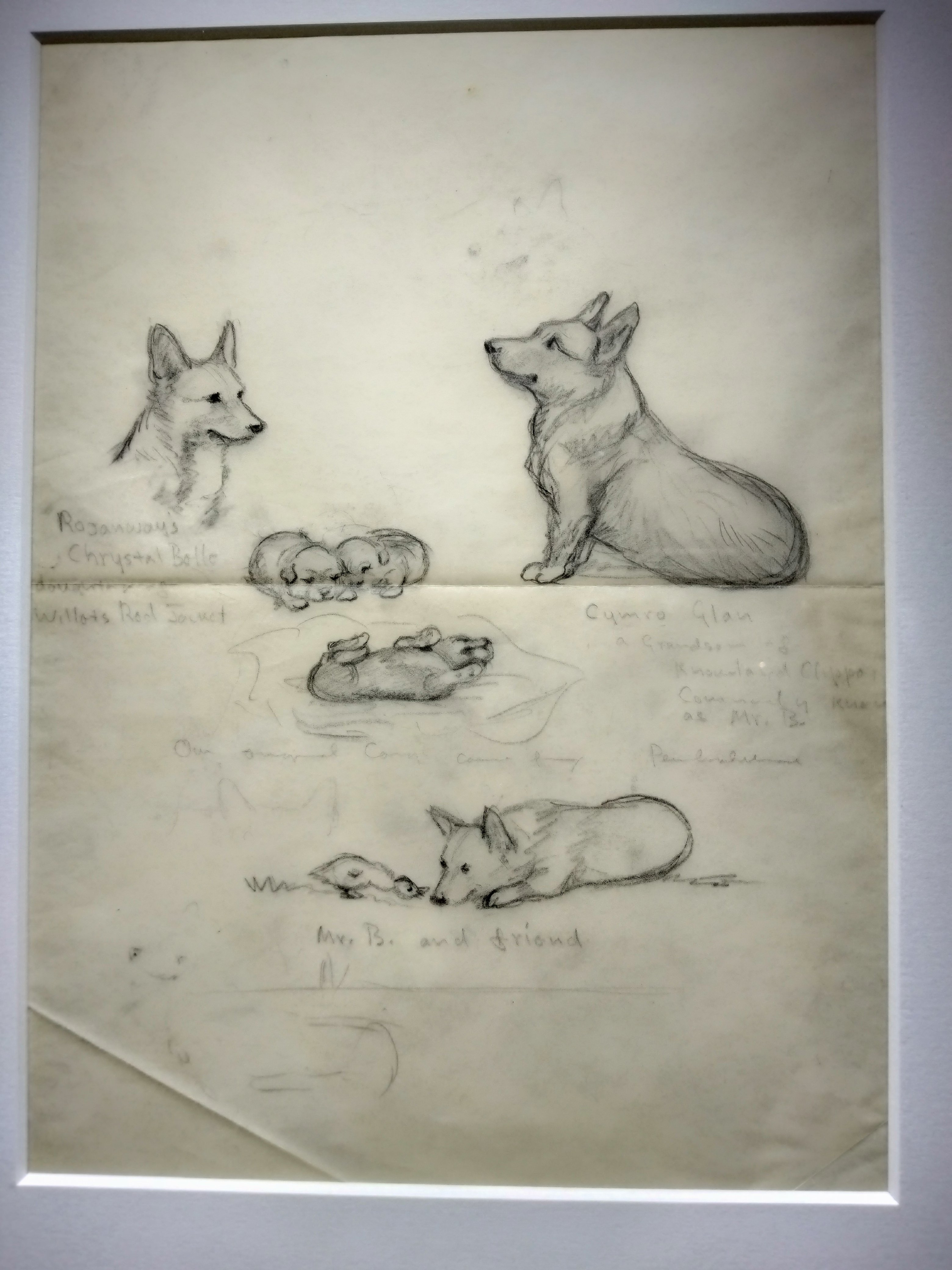 ターシャ・テューダー展に行きました｜雪花