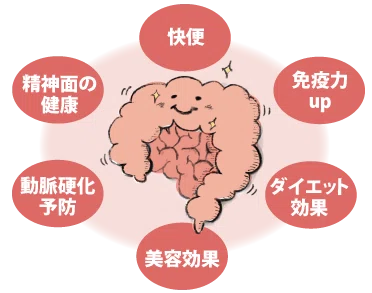 腸活で心も身体も元気に 腸内環境を整える方法をご紹介|島崎美緒の健康的な日常
