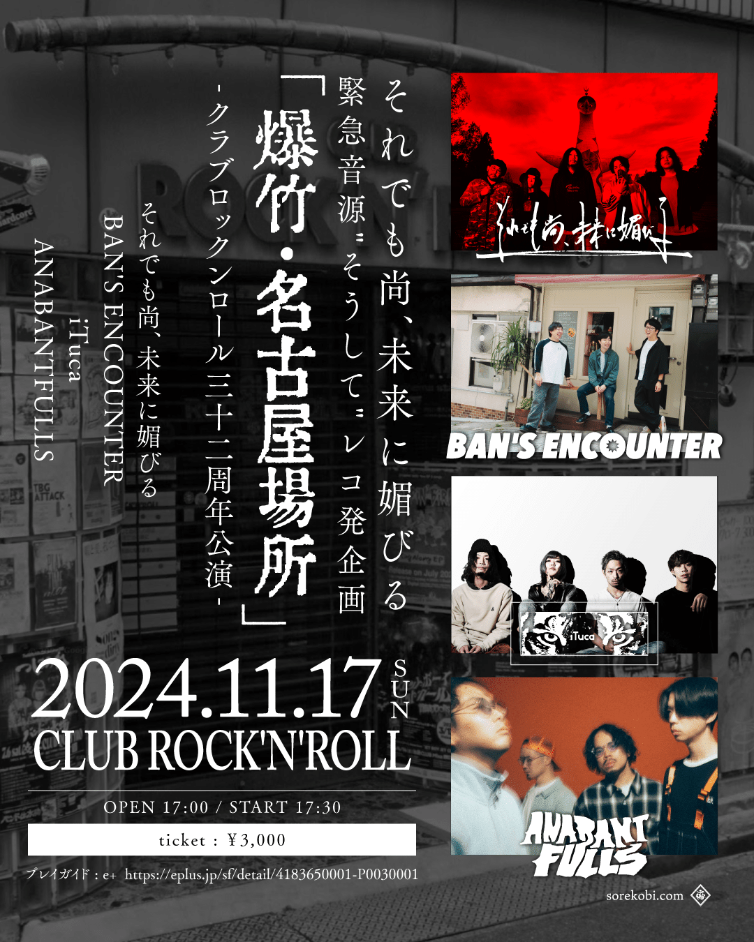 秋の日々｜それ媚び がーこ