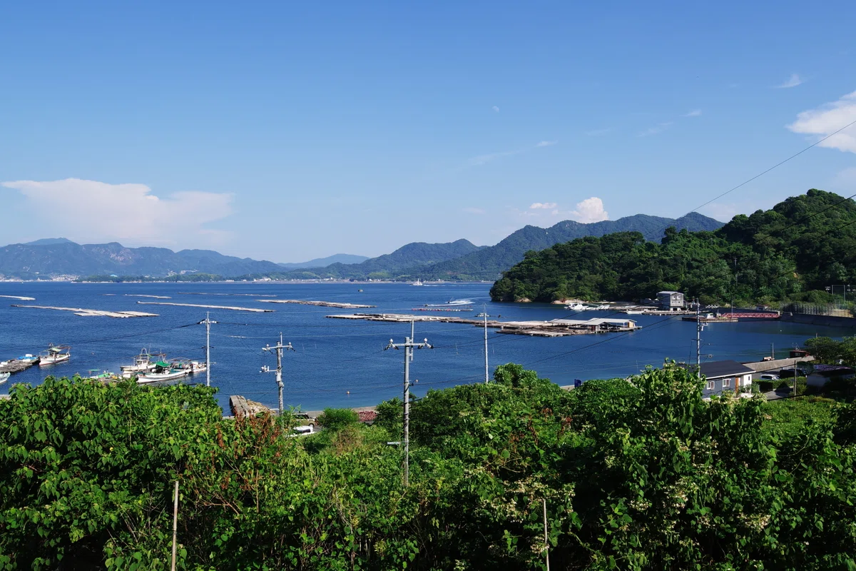 画像