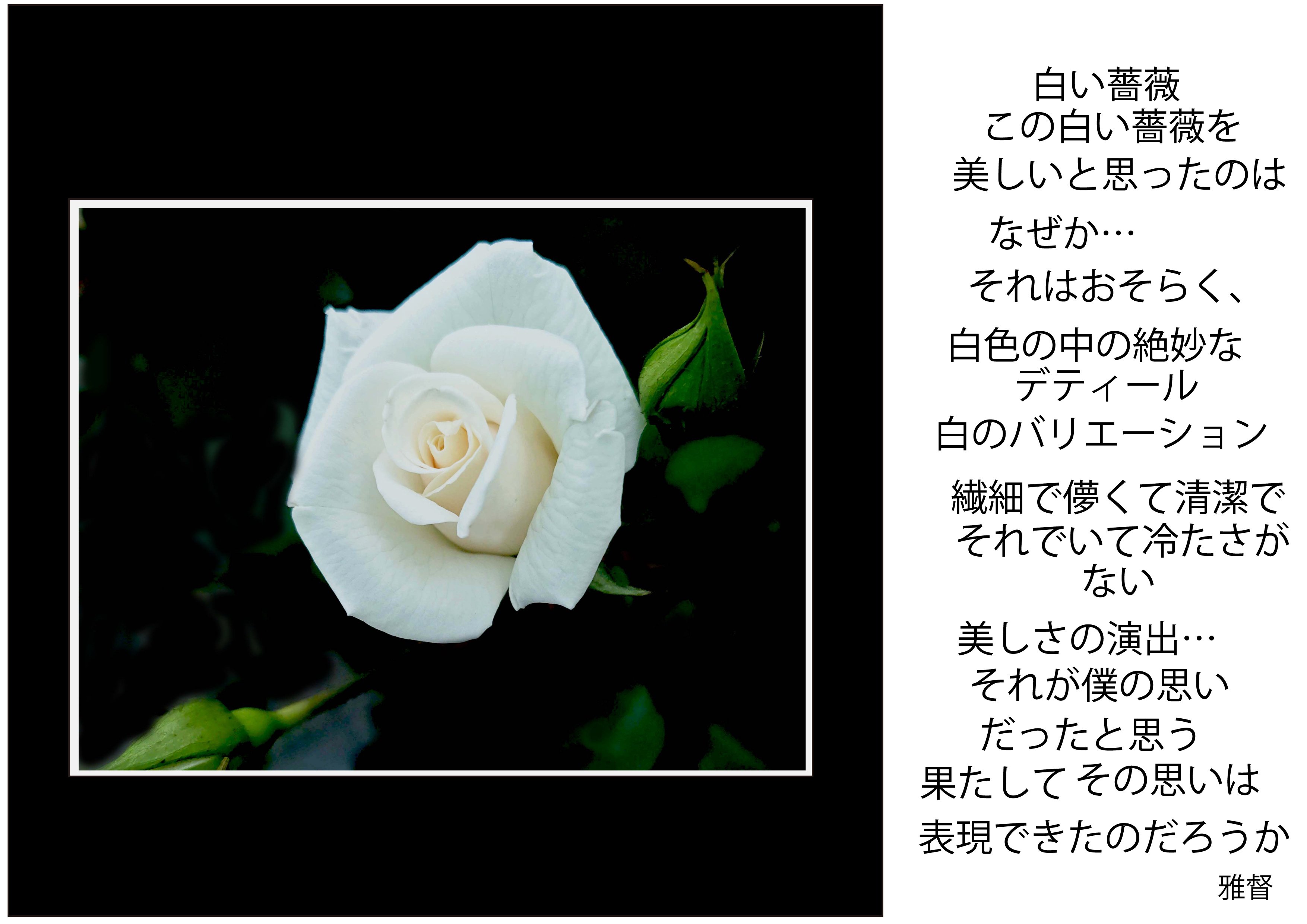 印象派　肉筆画　【薔薇】直筆さいんあり 印象派 肉筆画 【薔薇】直筆さいんあり