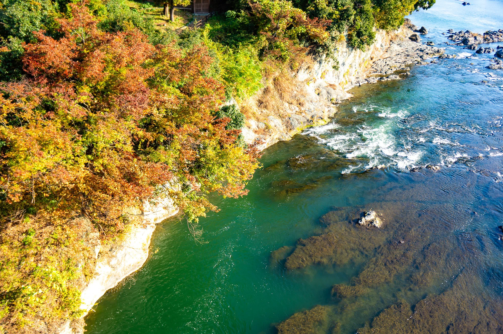 AUTUMN LEAVES in YORII ～秋の寄居町で幻想的な風景を～｜寄居