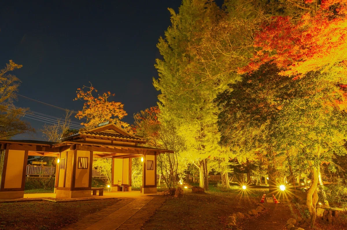 AUTUMN LEAVES in YORII ~秋の寄居町で幻想的な風景を~|寄居まちづくりNOTE