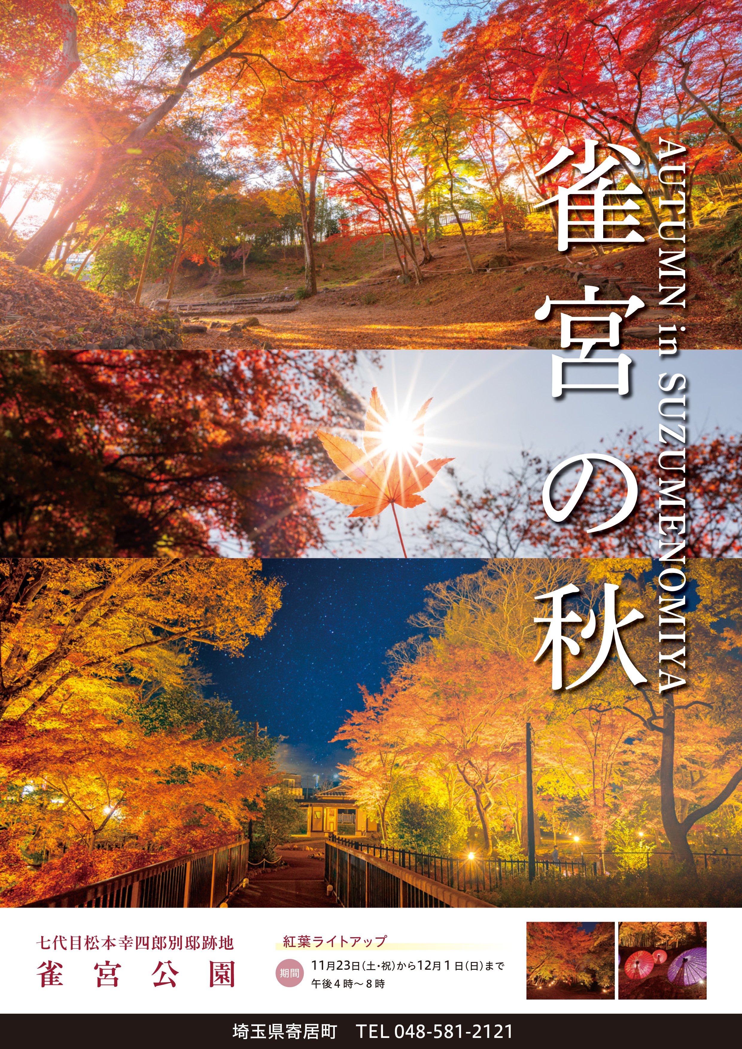 紅葉オーダーページ 19369-68-