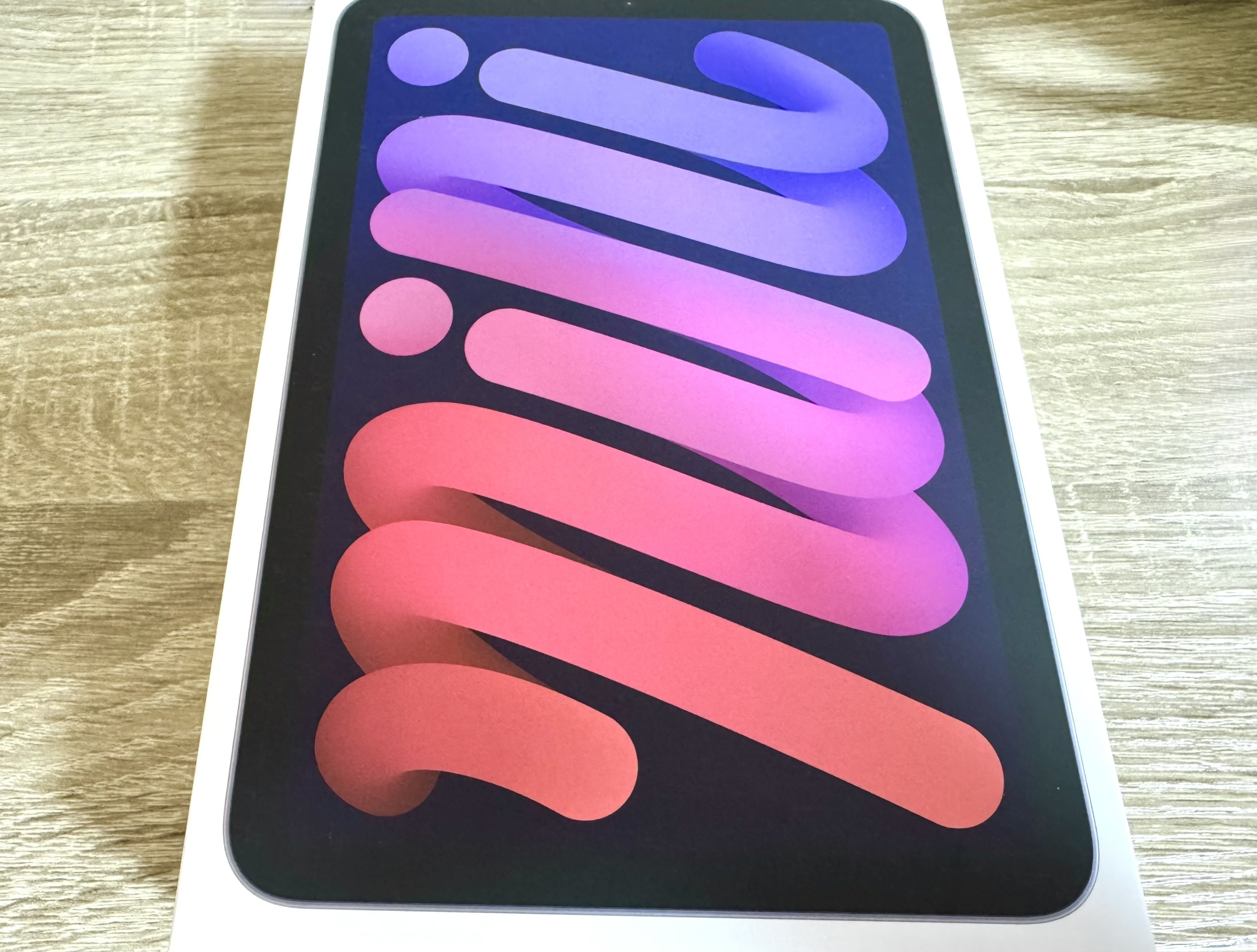 iPad mini (A17 Pro)を買ってしまった。。。1週間悩んで出した iPad mini (A17 Pro)を買ってしまった。。。1週間悩んで出した