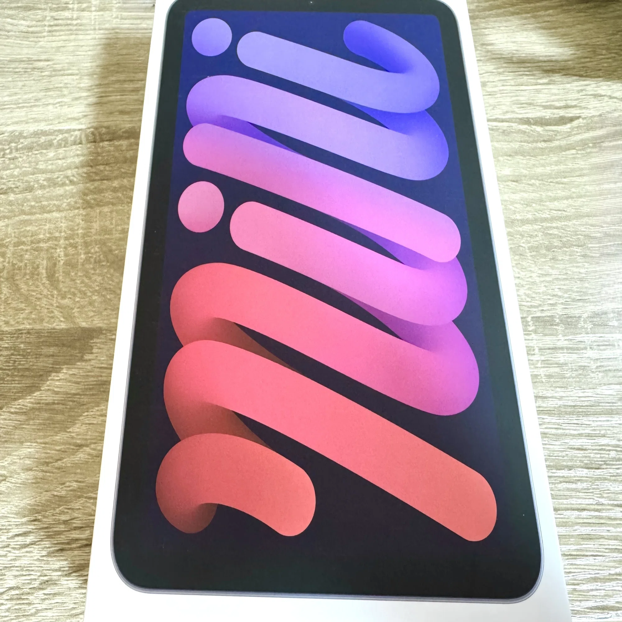 iPad mini (A17 Pro)を買ってしまった。。。1週間悩んで出した結論 