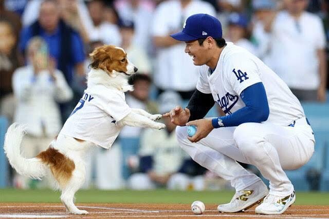 大谷翔平アンバサダー しめっ 野球グローブ Hugo BOSS 野球 大谷翔平アンバサダー しめっ 野球グローブ Hugo BOSS 野球