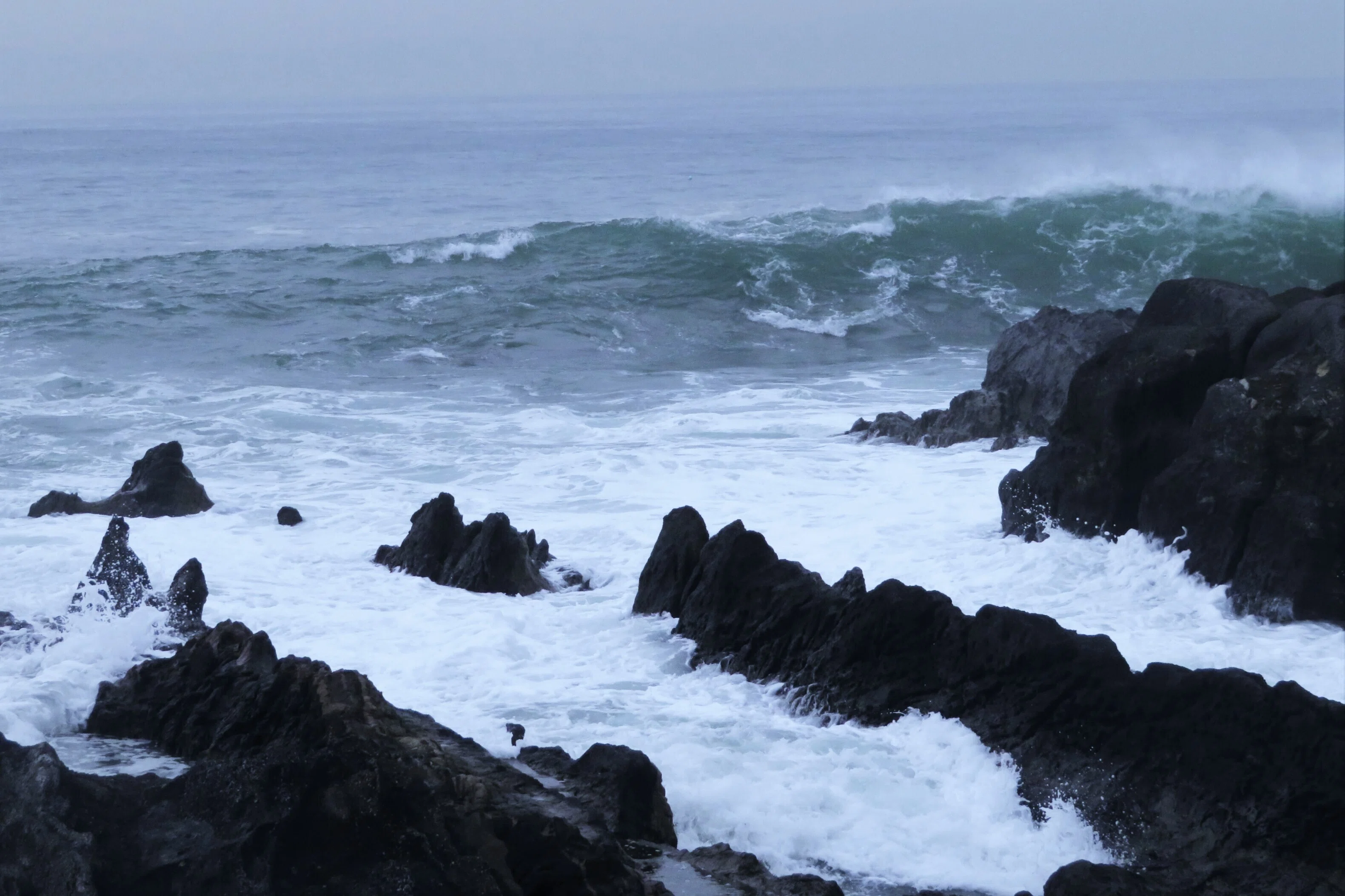 うねり：三浦半島荒崎海岸｜穂高渓太郎