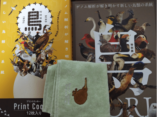 図録 鳥展 鳥展 図録 限定 鳥展に行ってきました。 - 彩とりどり