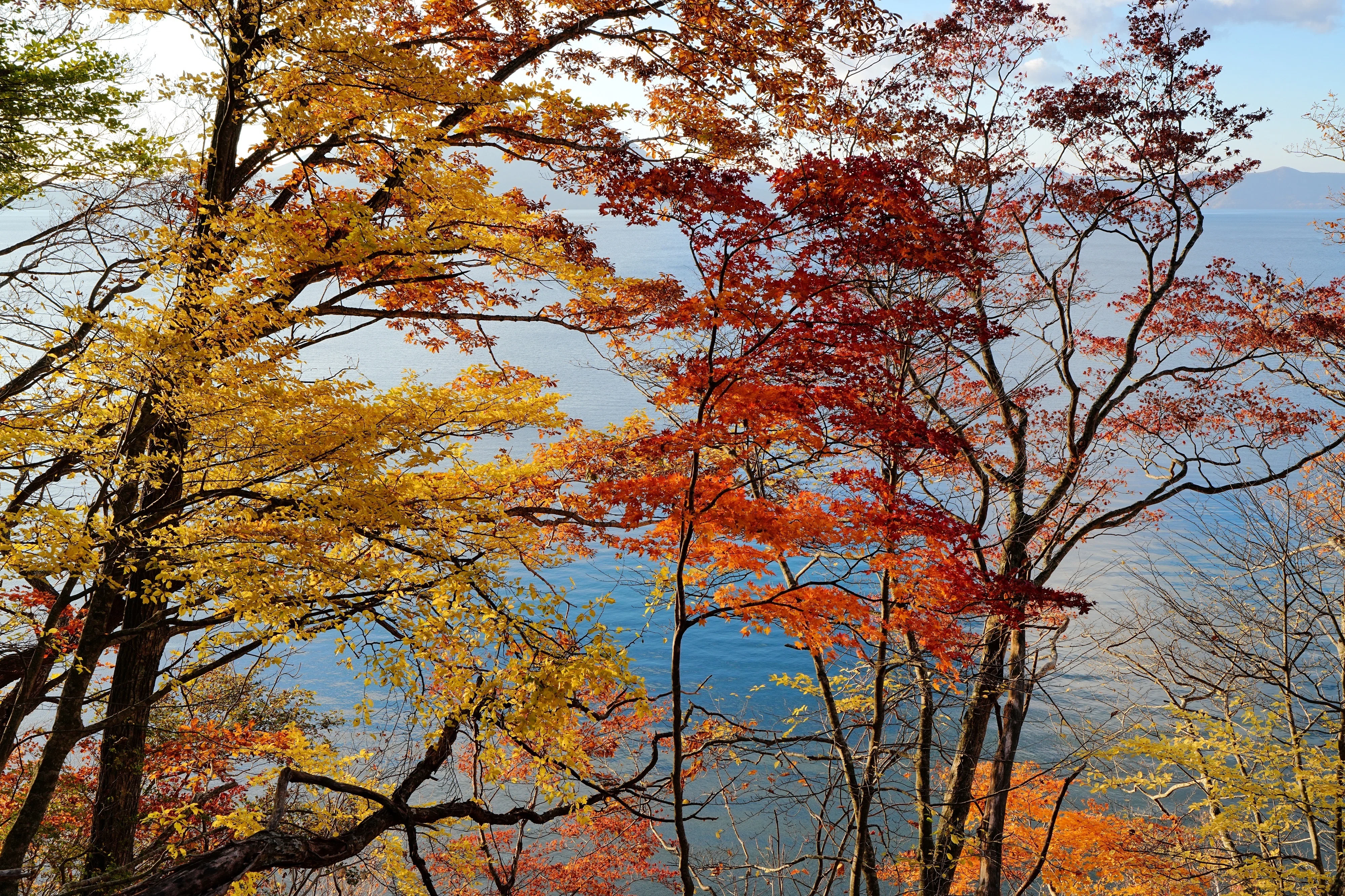 支笏湖の紅葉｜風景写真 四季の山旅