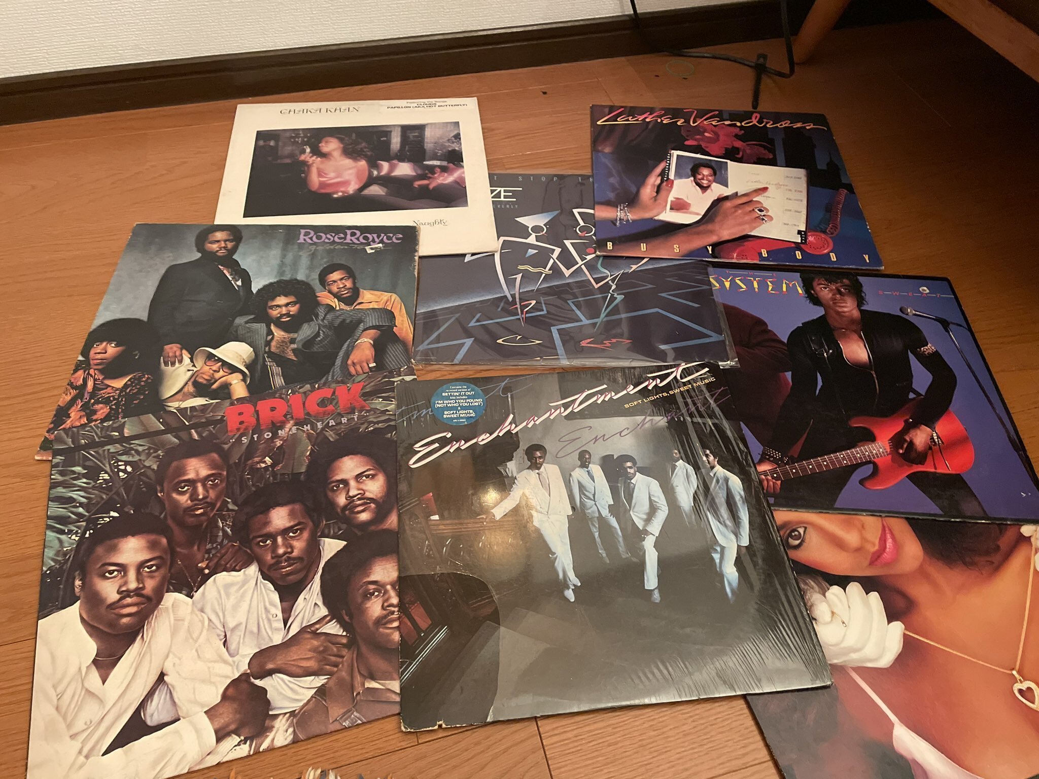 釣果 レコード 2024年11月2日｜moblu