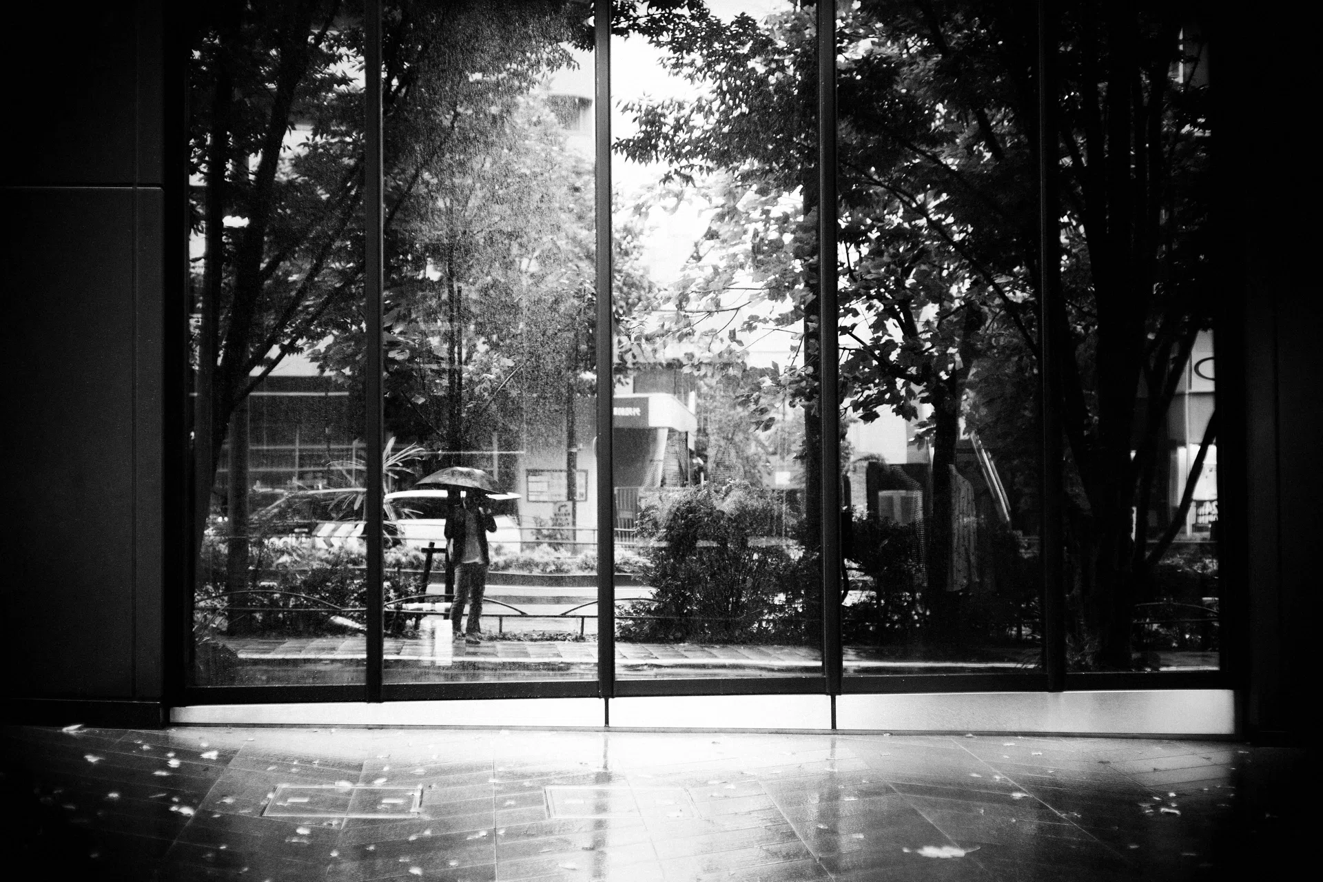 世界観について考えた日。(C Sonnar 1.5/50 + Nikon Zf)｜篠山吉信