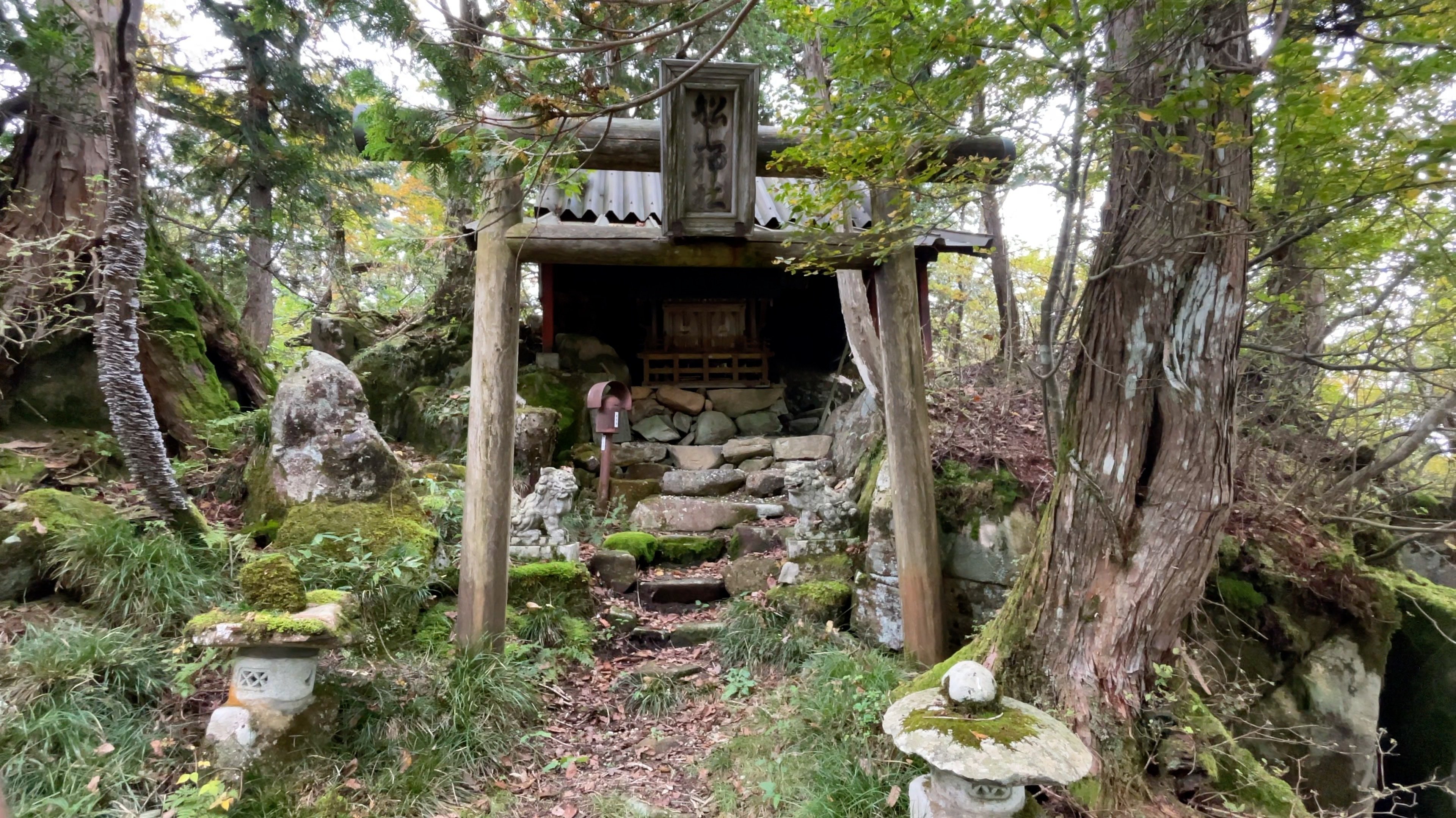 世界を統（す）べていた日本の天皇｜ウサ吉