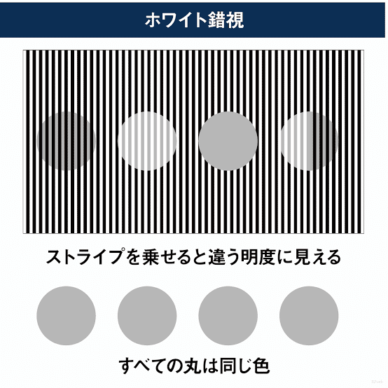謎の世界　視覚の不思議 謎の世界〈第1巻〉視覚の不思議 | サンポウジャーナル |本