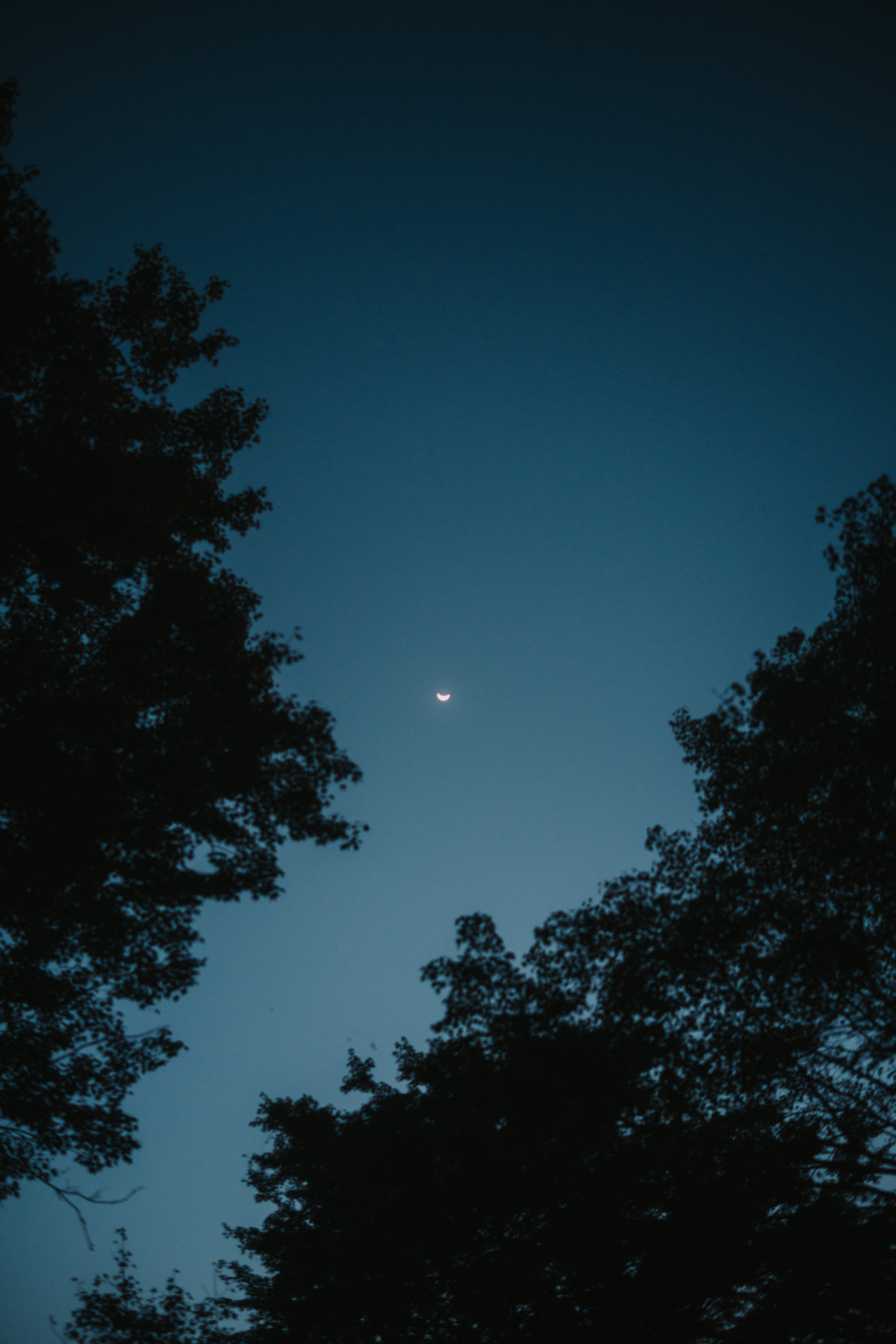 SONY RX1R ソニー（電池４本＋ブラックミストフィルター付）美品 Sony RX1R II