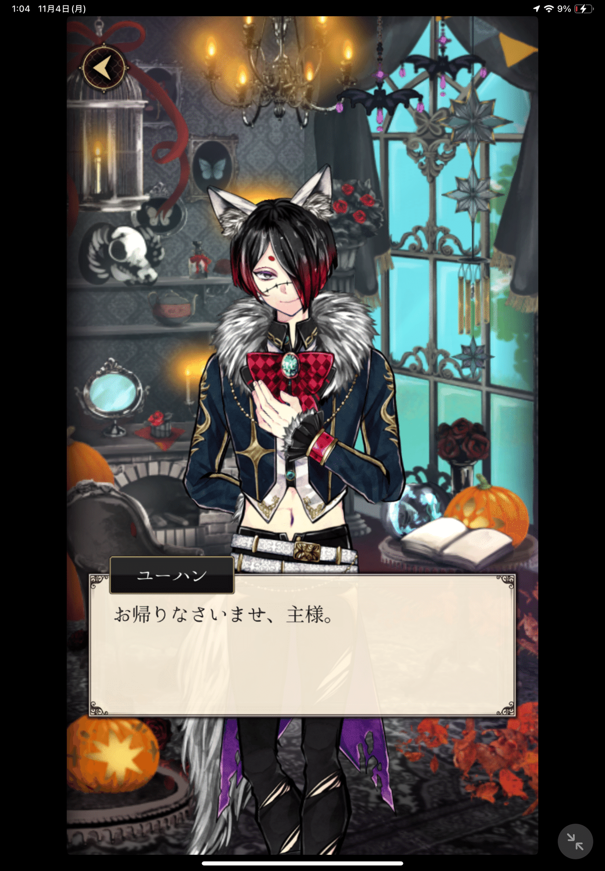 あくねこ2024ハロウィンの仮装メモ｜あきらこ